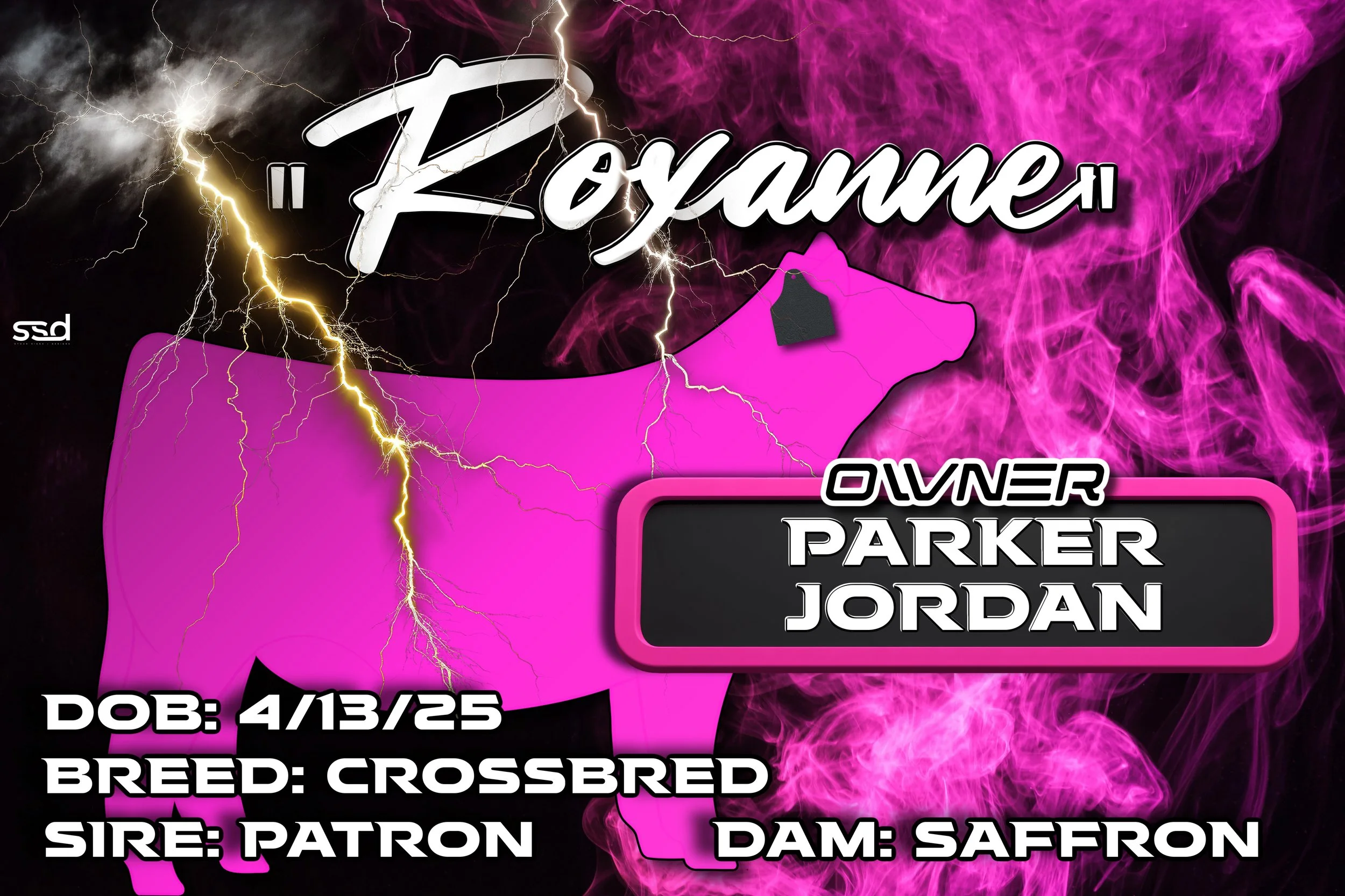 12x18-VINYL STALL BANNER-ROXANNE-PARKER JORDAN.jpg