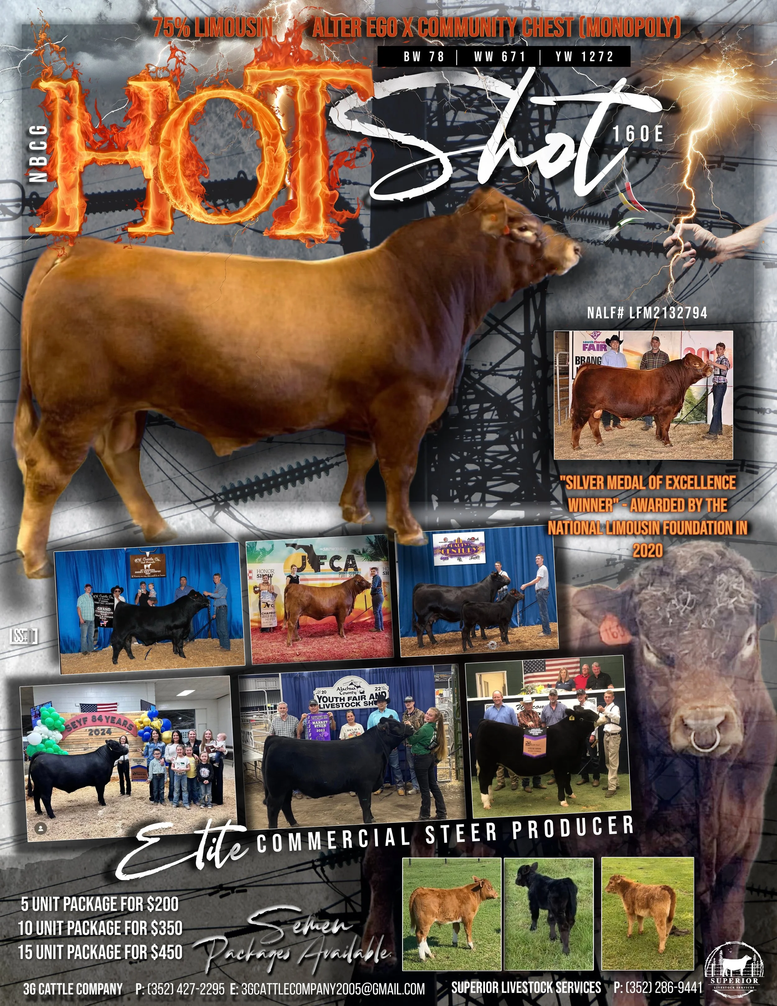 HOT SHOT-DIGITAL FLYER copy 4.jpg