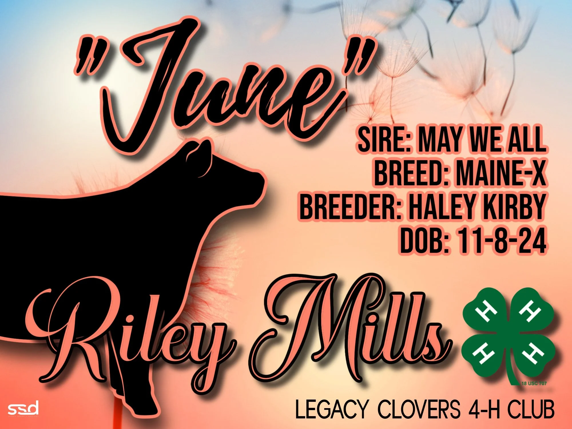 15x20-CORRO GROMMETS-HALEY KIRBY-JUNE.jpg