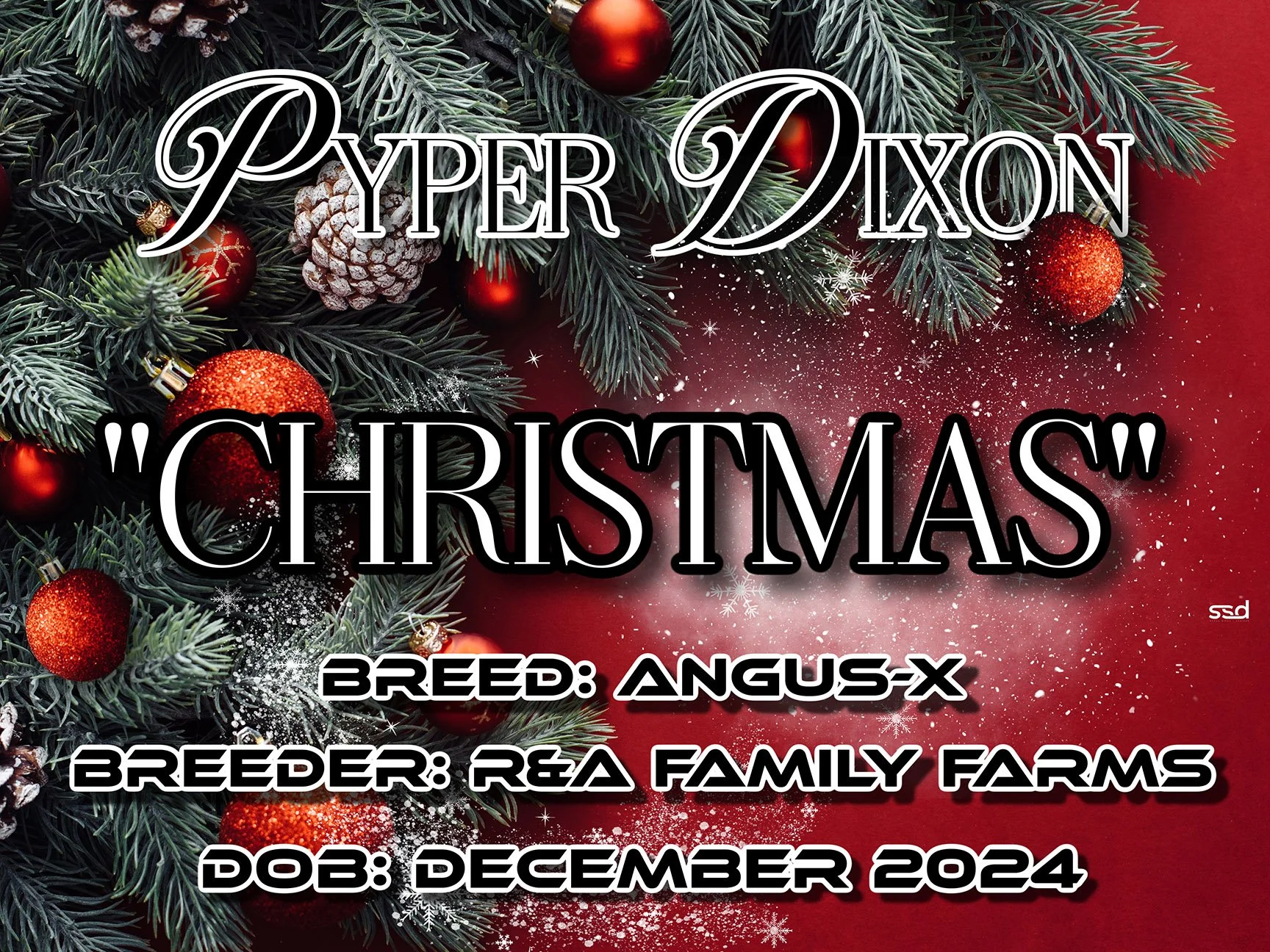 18x24-CORRO-GROMMETS-CHRISTMAS (1).jpg