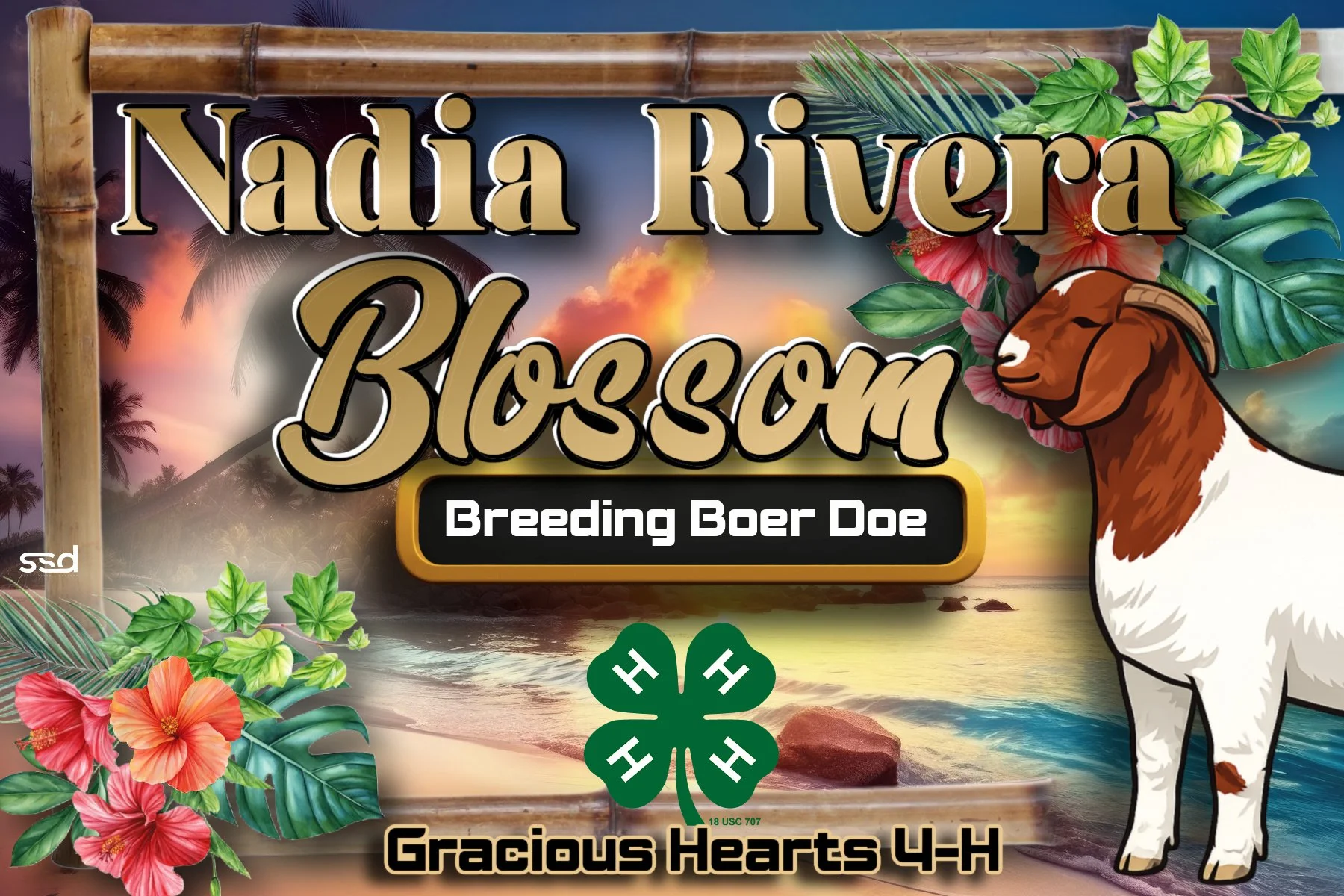 12x18-VINYL STALL BANNER-NADIA RIVERA-BLOSSOM copy 2.jpg