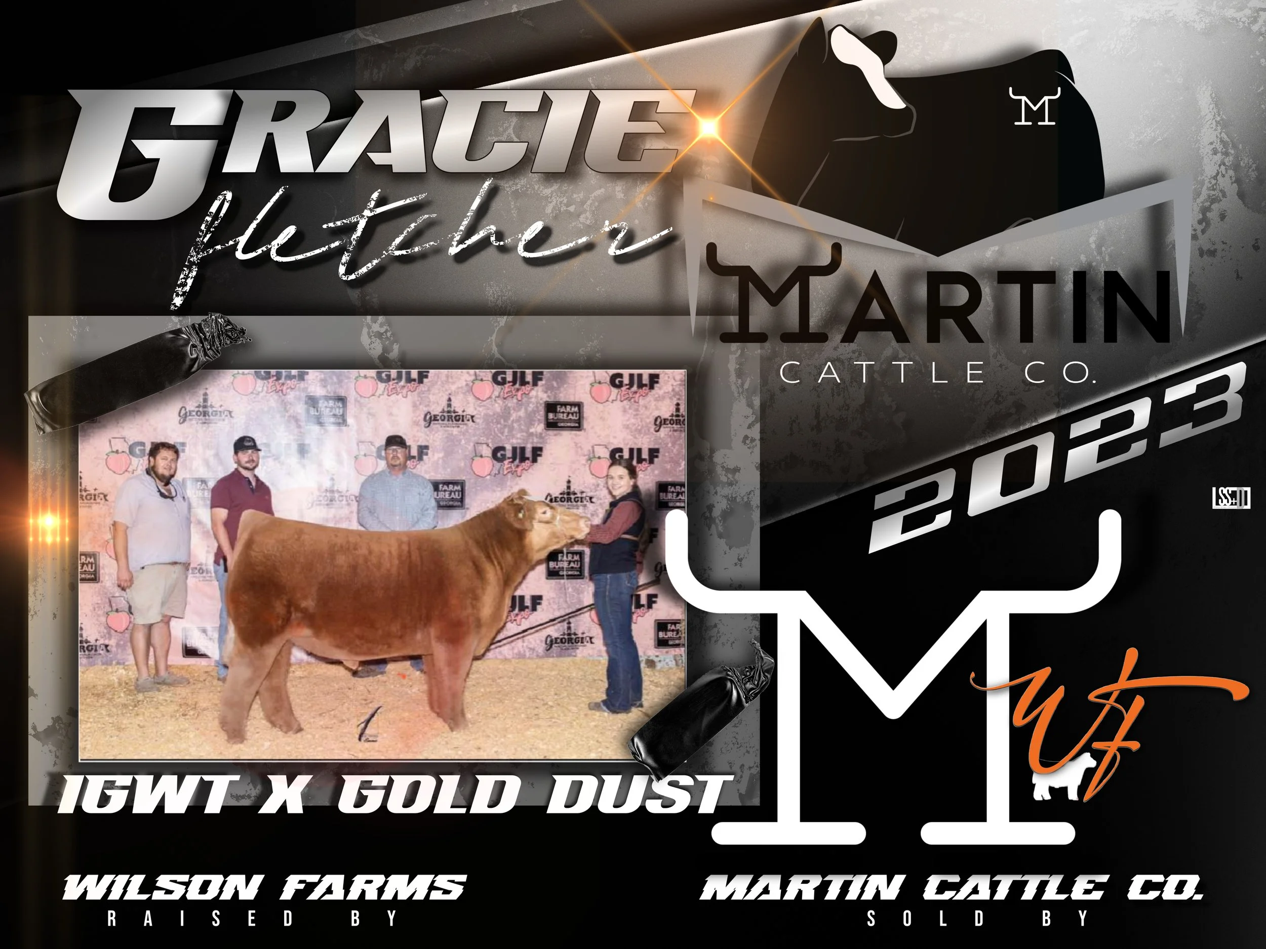 4x3-VINYL GROMENTS-BROUGHTON MARTIN CATTLE- GRACIE FLETCHER STEER.jpg