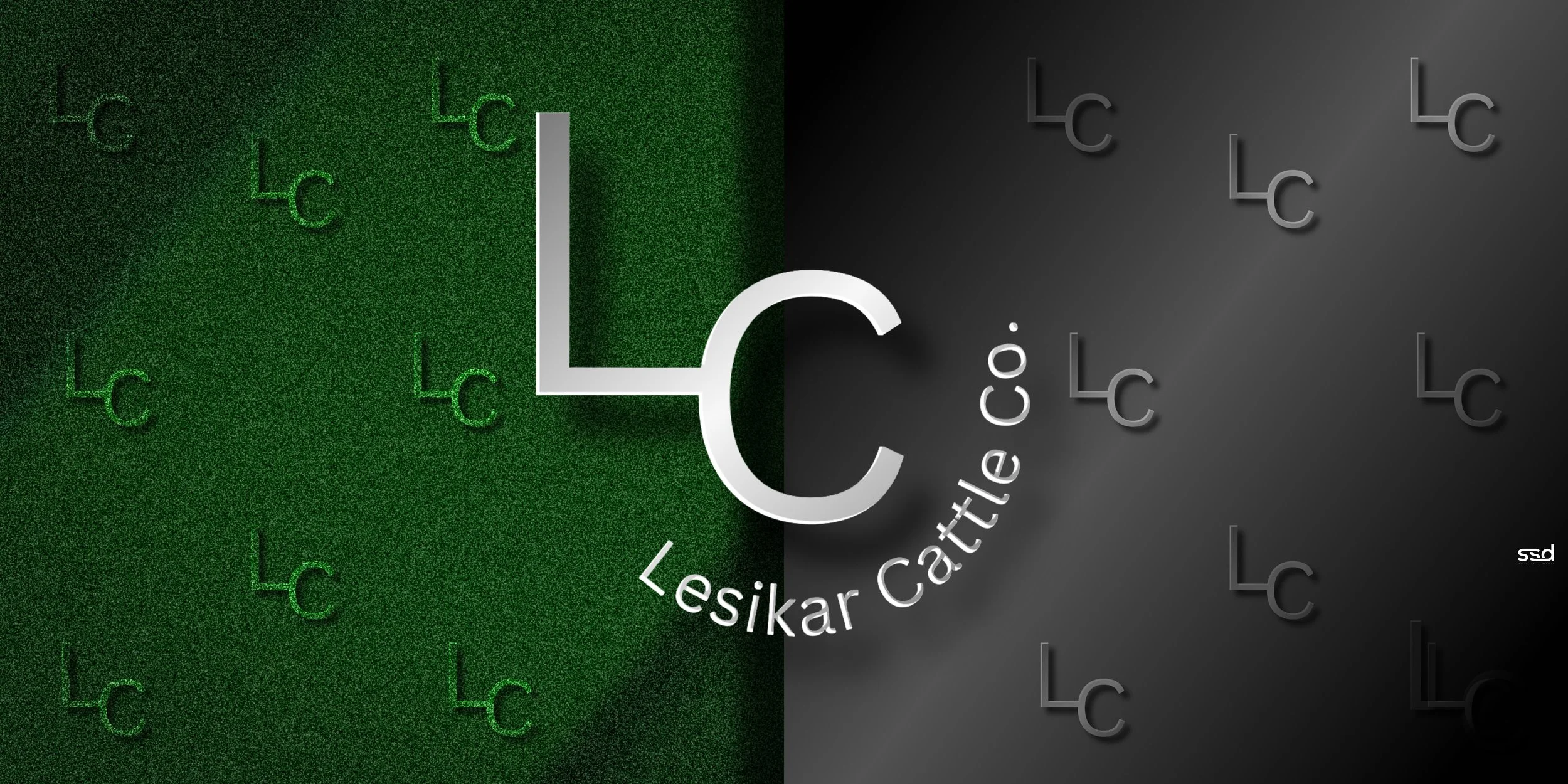 QTY OF 3-8x4-STALL TARP-LC LESIKAR CATTLE CO-2 copy.jpg