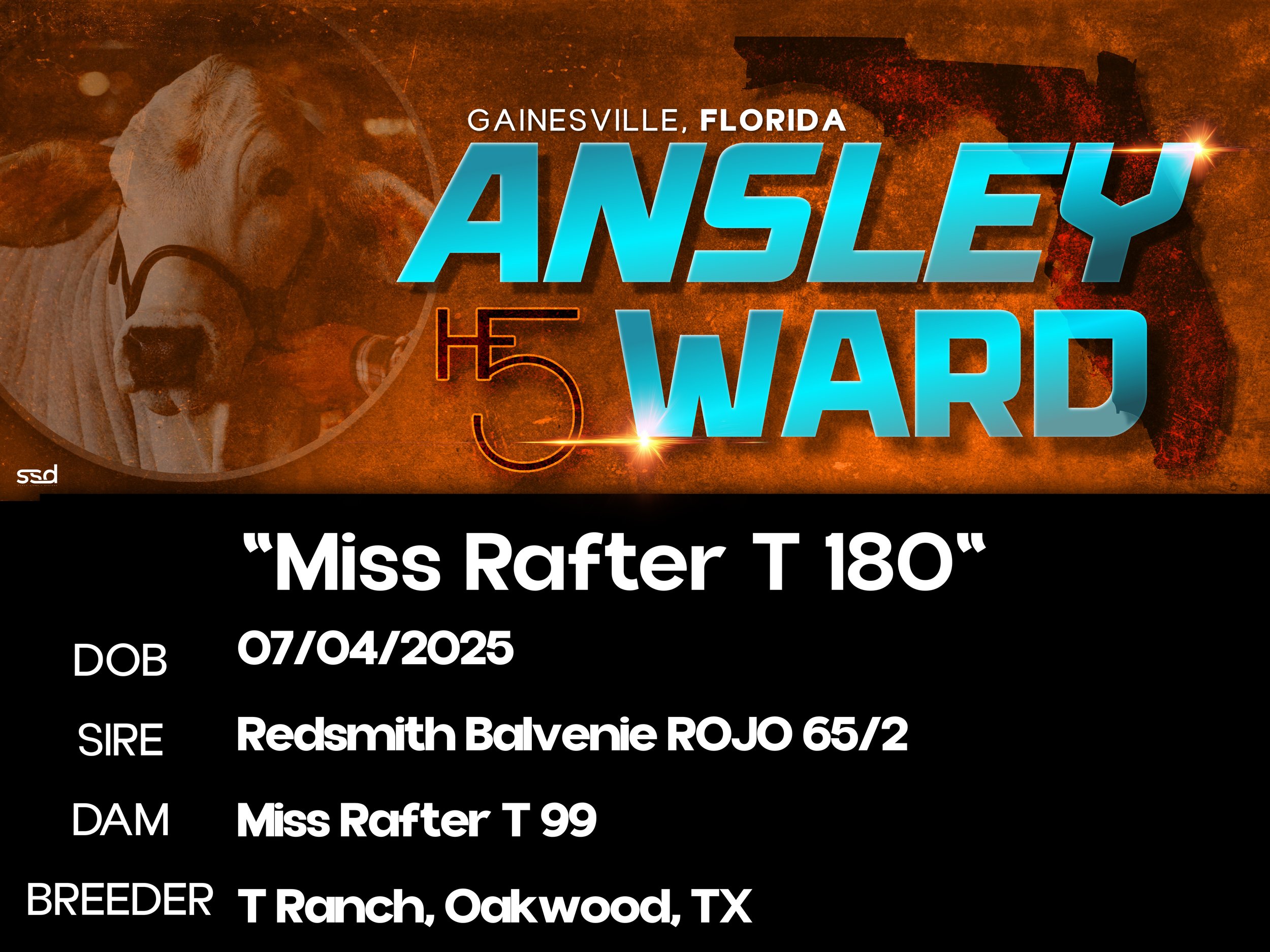 15x20-CURRO-GROMENTS-ANSLEY WARD-Miss Rafter T 180.jpg