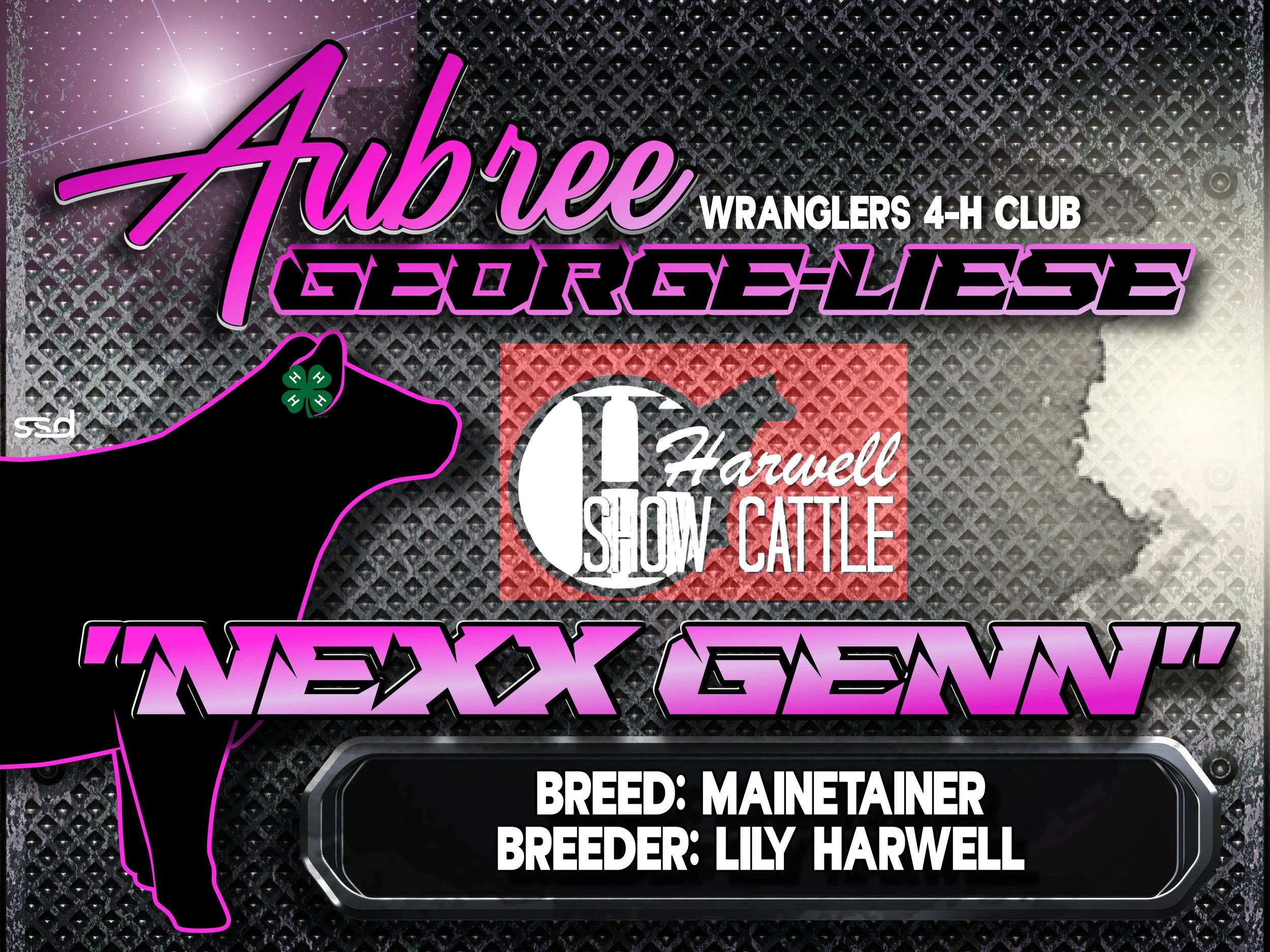 18x24-corro grommets-Aubree George-NEXXGENN.jpg