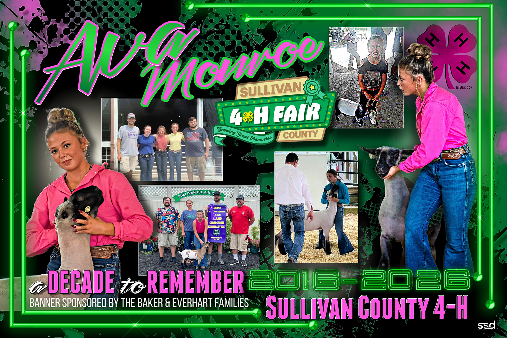 COLLAGE BANNER-1.png