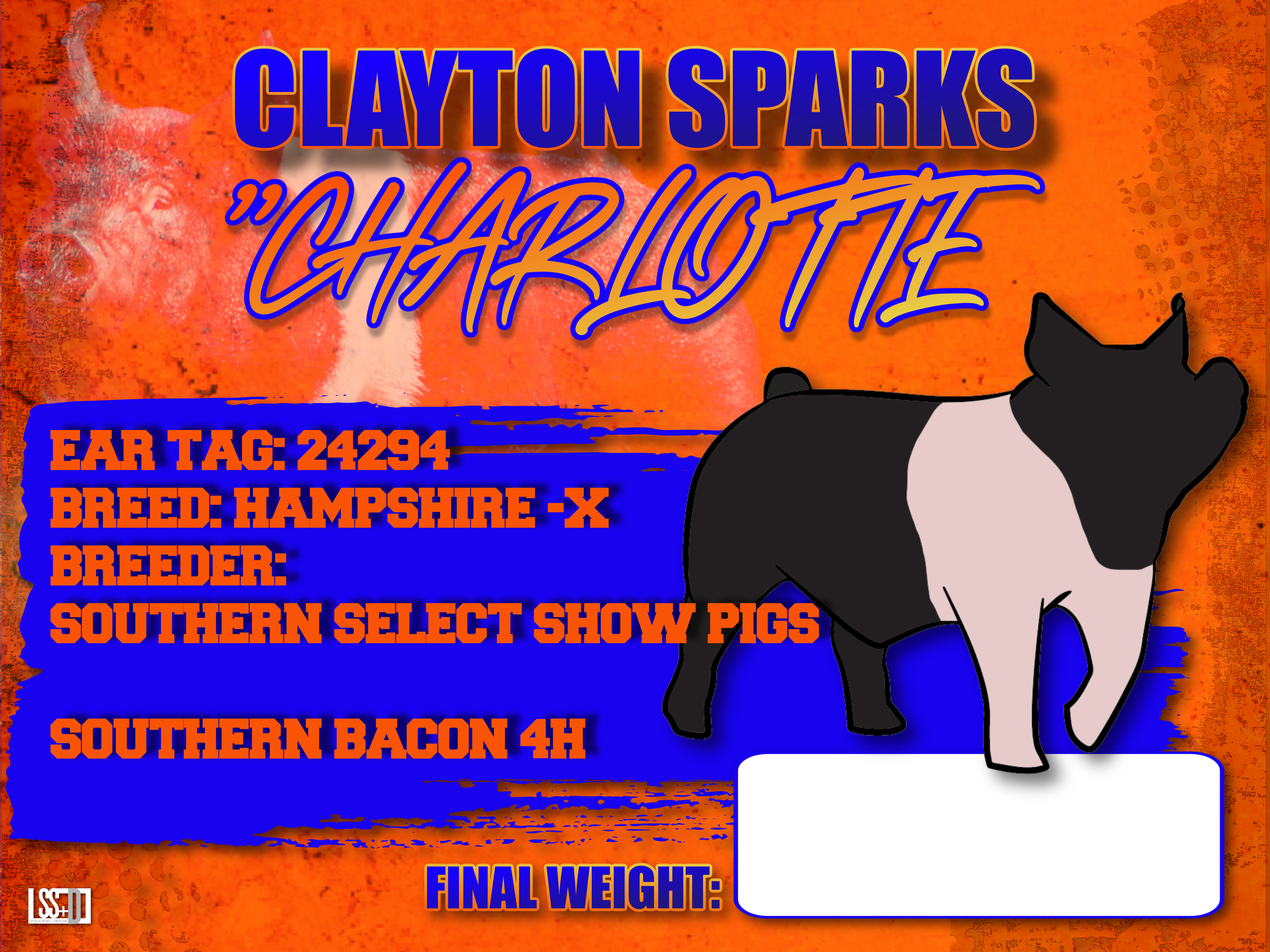18X24_CURRO WITH GROMENTS_CLAYTON SPARKS_CHARLOTTE copy 2.png