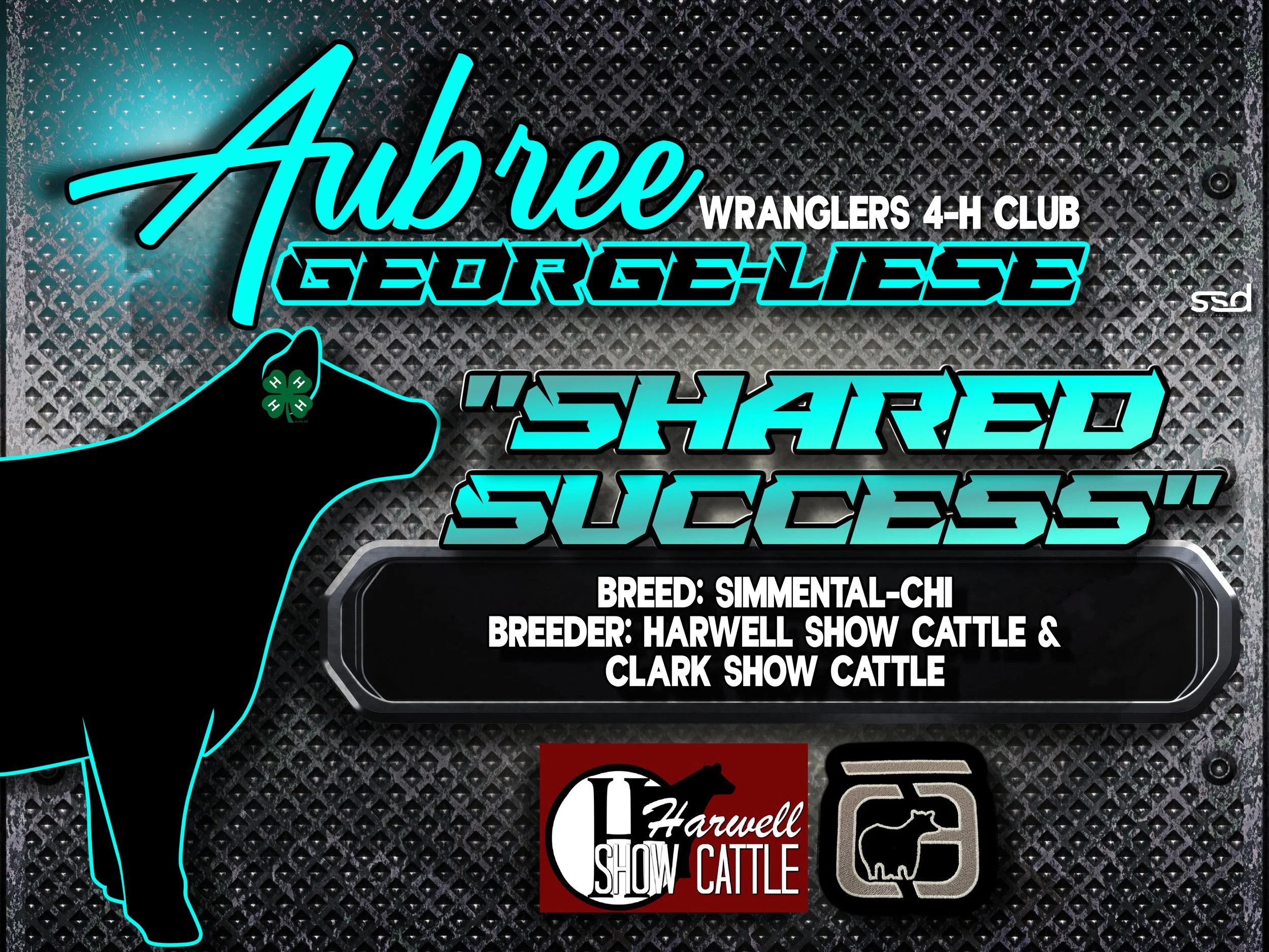 18x24-corro grommets-Aubree George-Shared Success copy.jpg