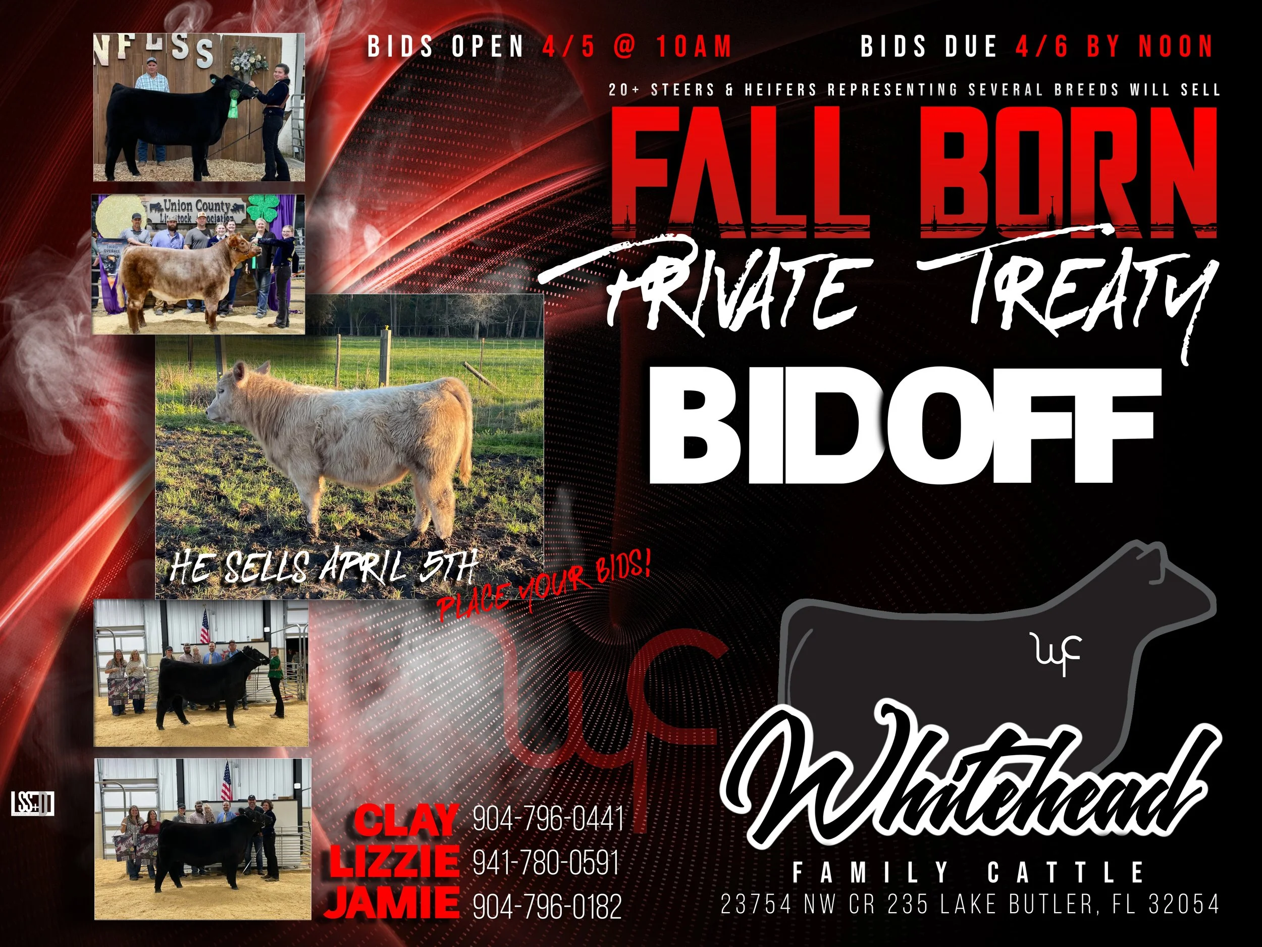WHITEHEAD FAMILY CATTLE SALE AD_2024_2 (1).jpg