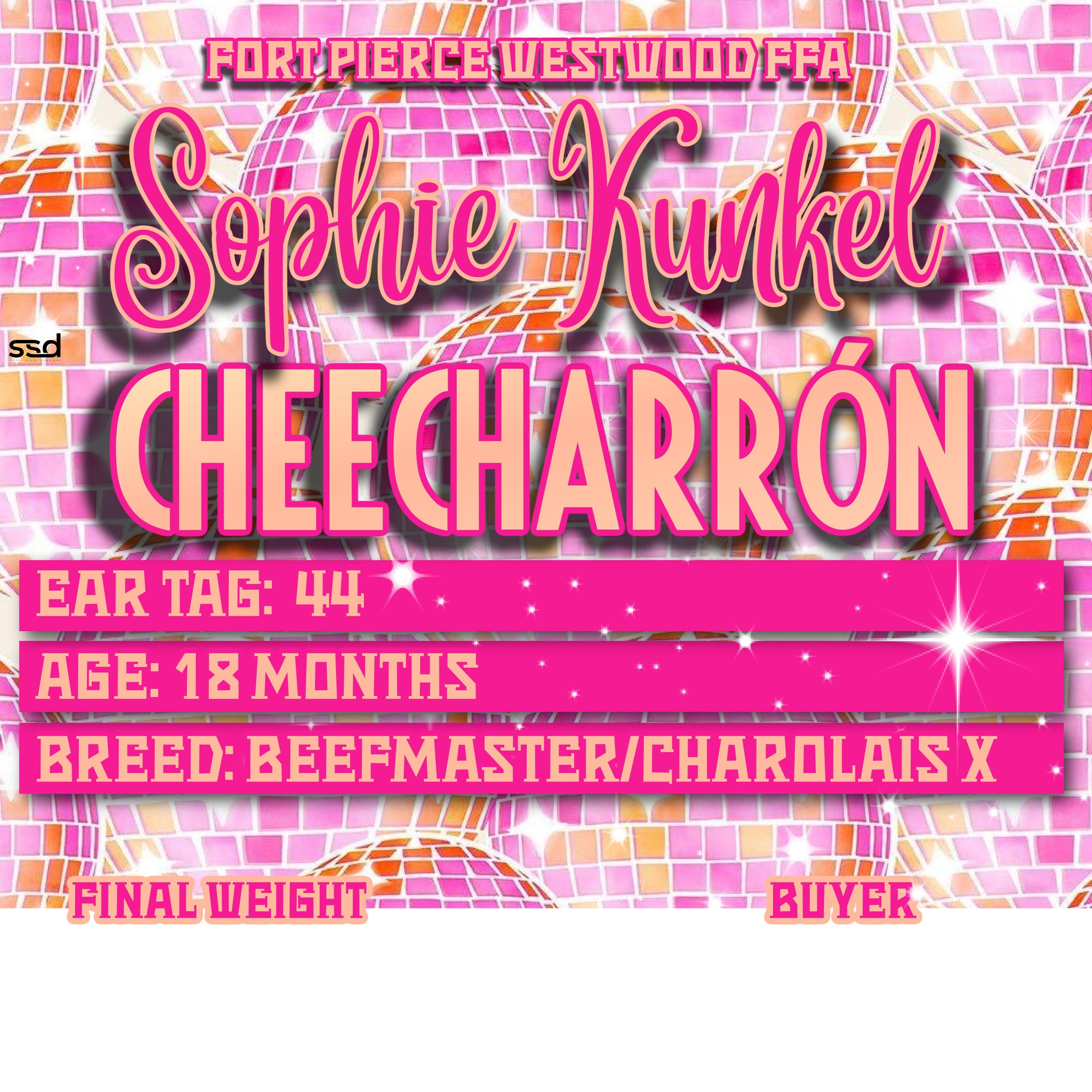 24x24-curro with groments-Sophie Kunkel -“Cheecharrón” copy 4.jpg