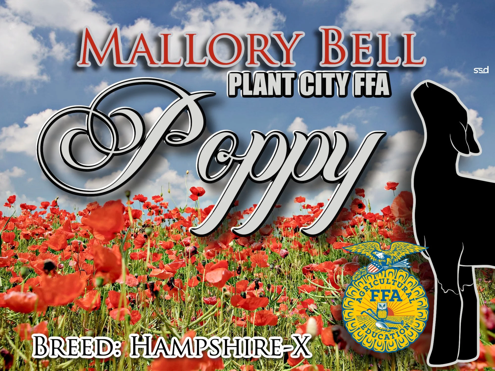 15X20-CORRO GROMMETS-MALLORY BELL-POPPY.jpg