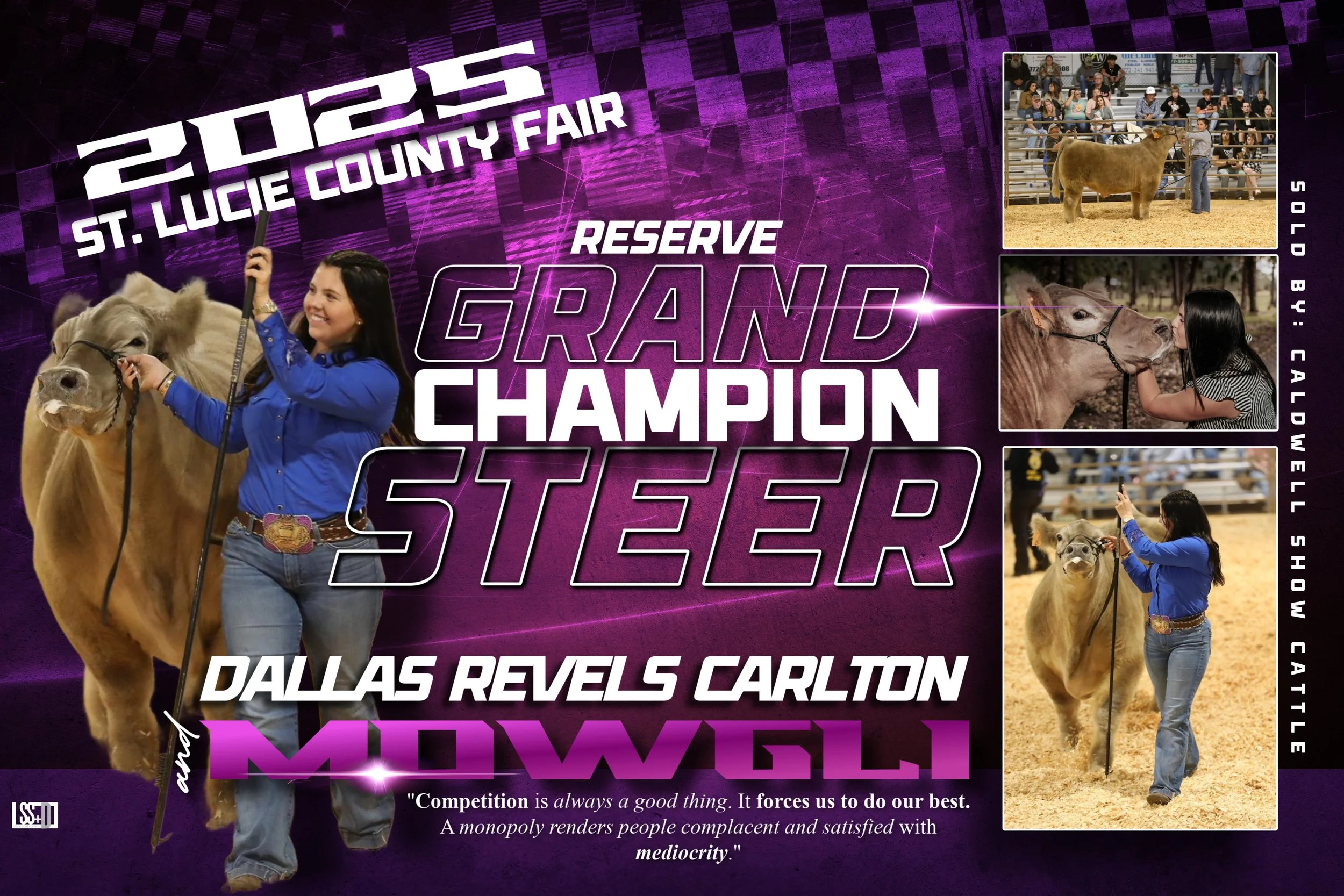 3x2-MEMORY BANNER-DALLAS REVELS CARLTON copy 2.jpg