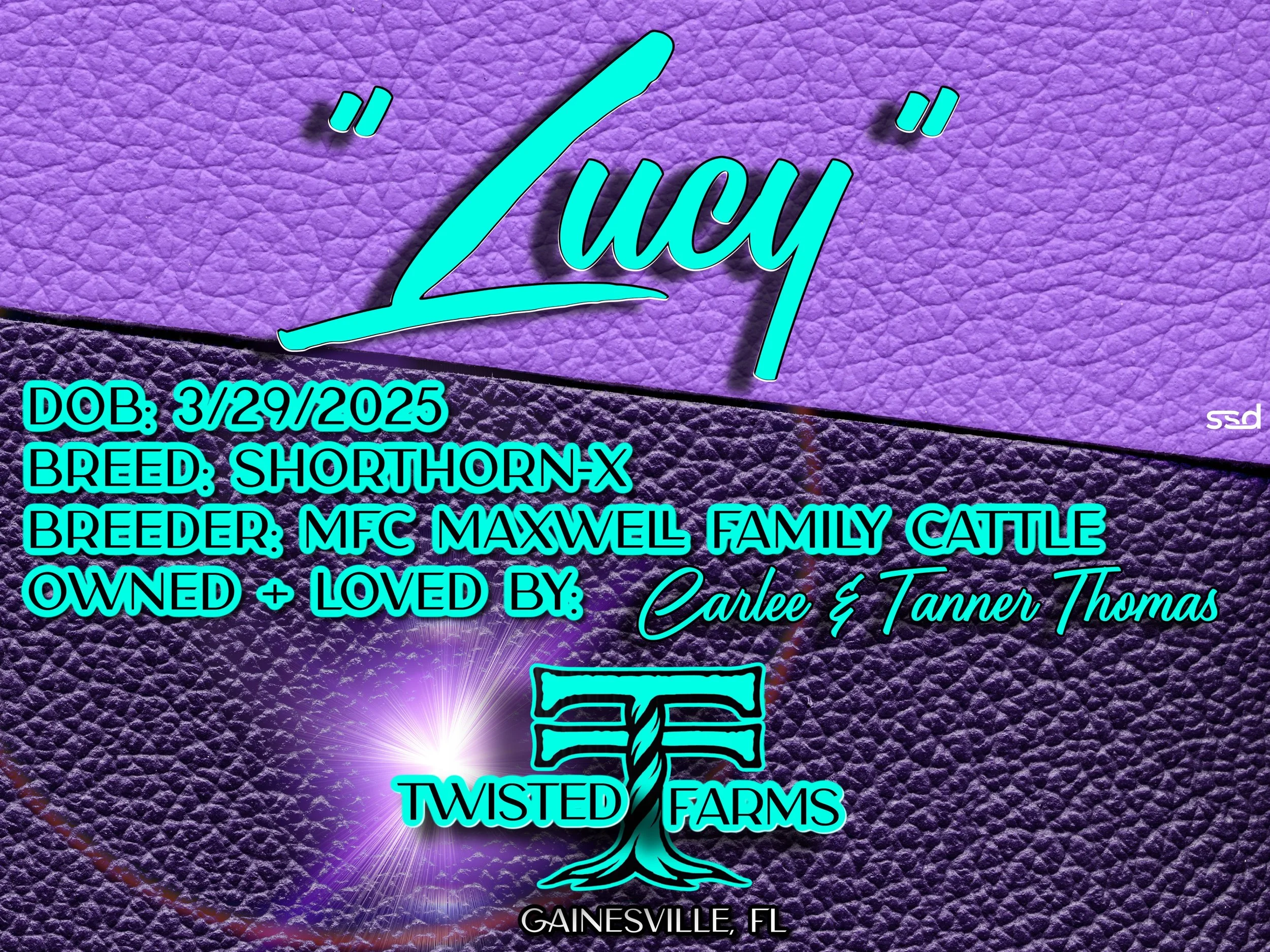 15x20-CORRO-GROMMETS-STALL SIGN-LUCY.jpg