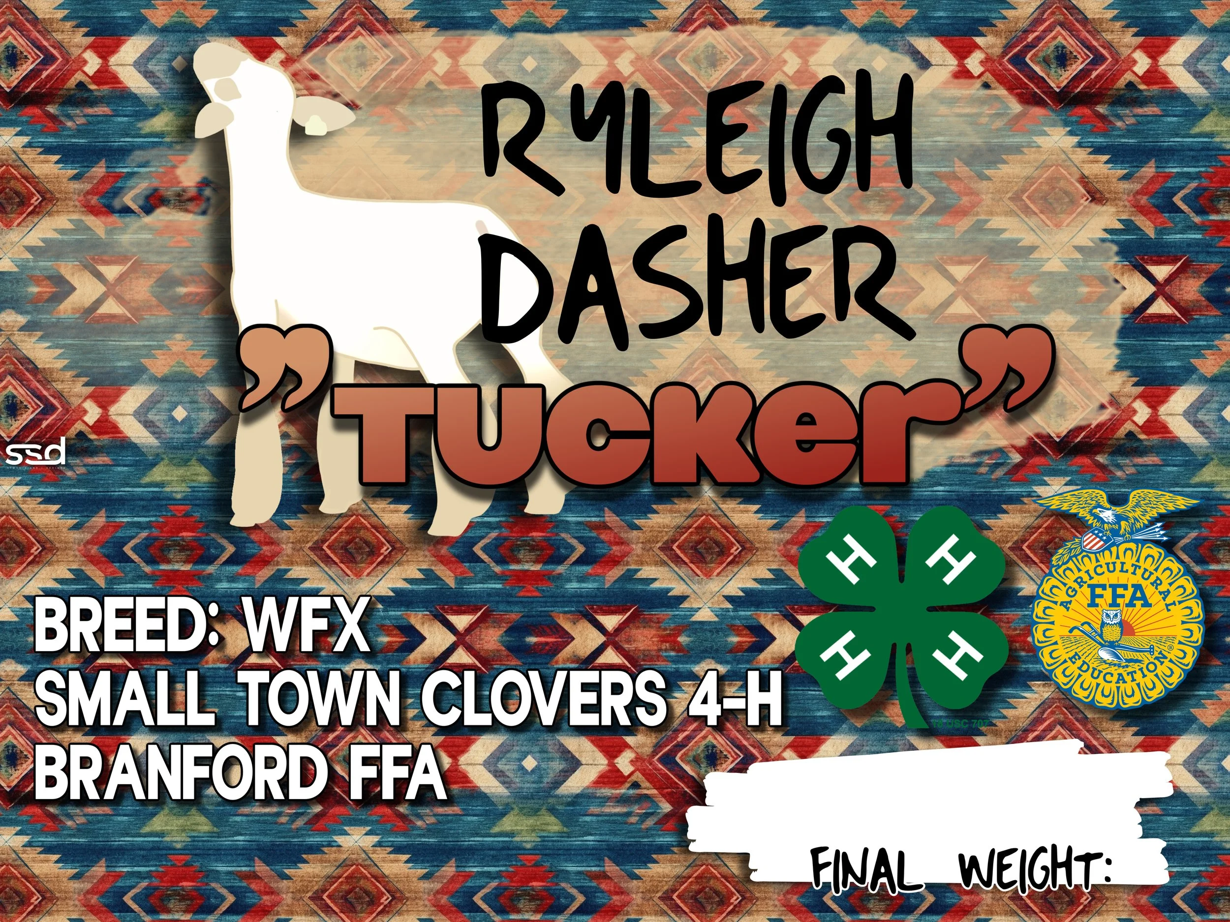 15x20-CORRO-GROMMETS-TUCKER-RYLEIGH DASHER (2).jpg