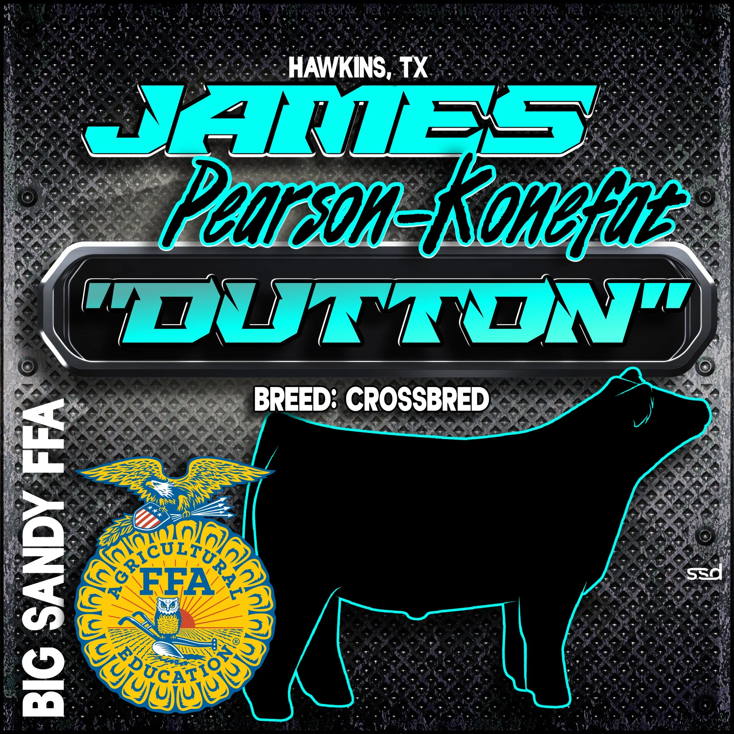 18X18-MAXMETAL DOUBLE SIDED- GROMMETS-JAMES PEARSON-KONEFAT.jpg