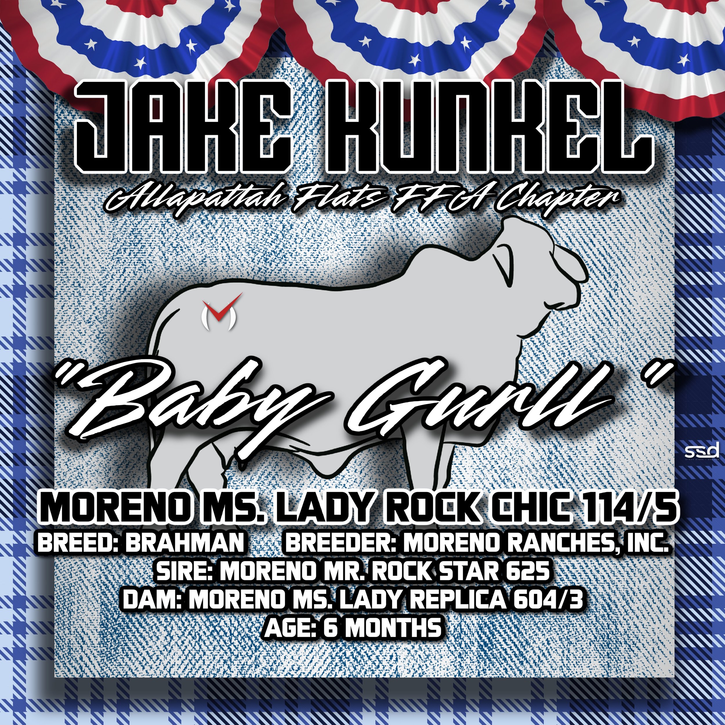 24x24-curro with groments-Jake Kunkel  -Baby Gurll copy.jpg