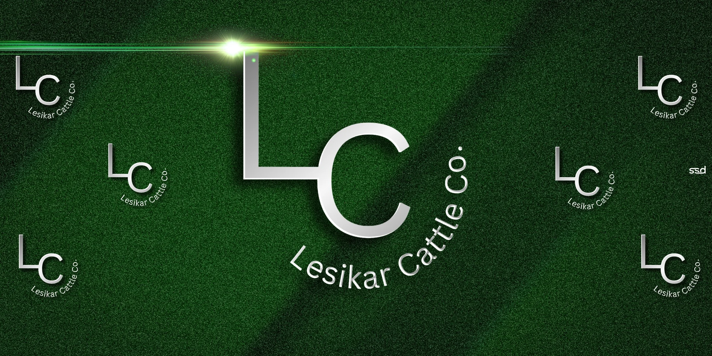 QTY OF 3-8x4-STALL TARP-LC LESIKAR CATTLE CO.jpg