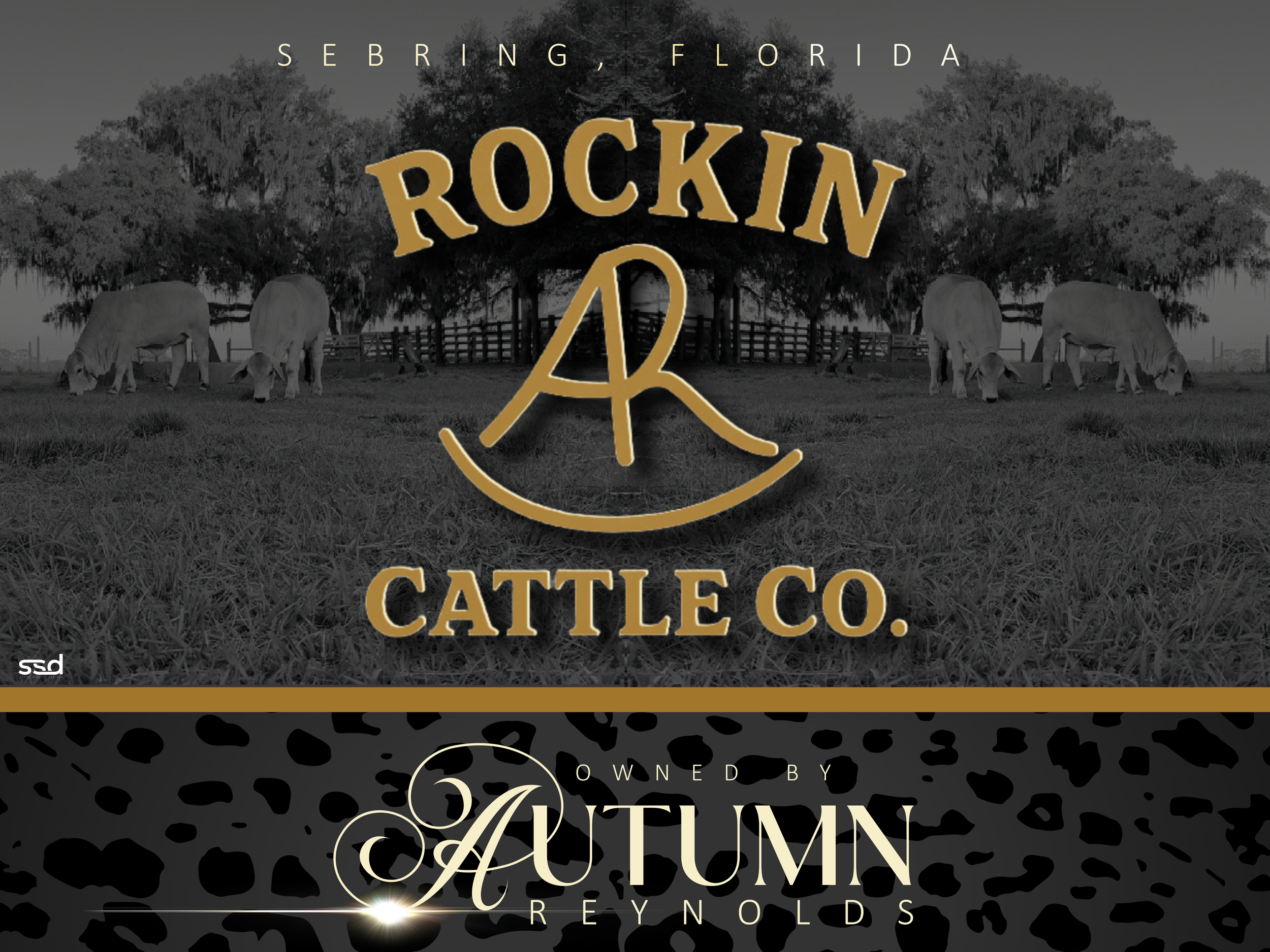 18X24-MAXMETAL-DOUBLE SIDED-GROMENTS-AUTUMN REYNOLDS-ROCKIN AR CATTLE CO (2).png