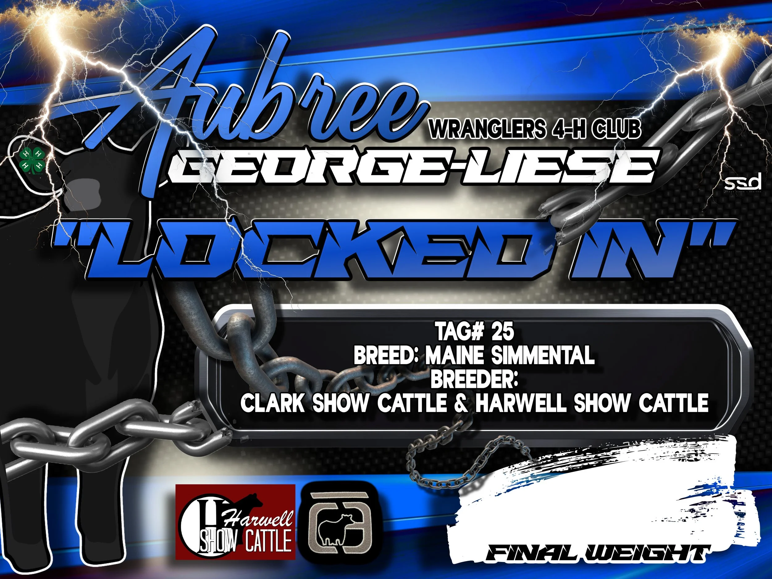 18x24-corro grommets-Aubree George-LOCKED IN copy 2.jpg