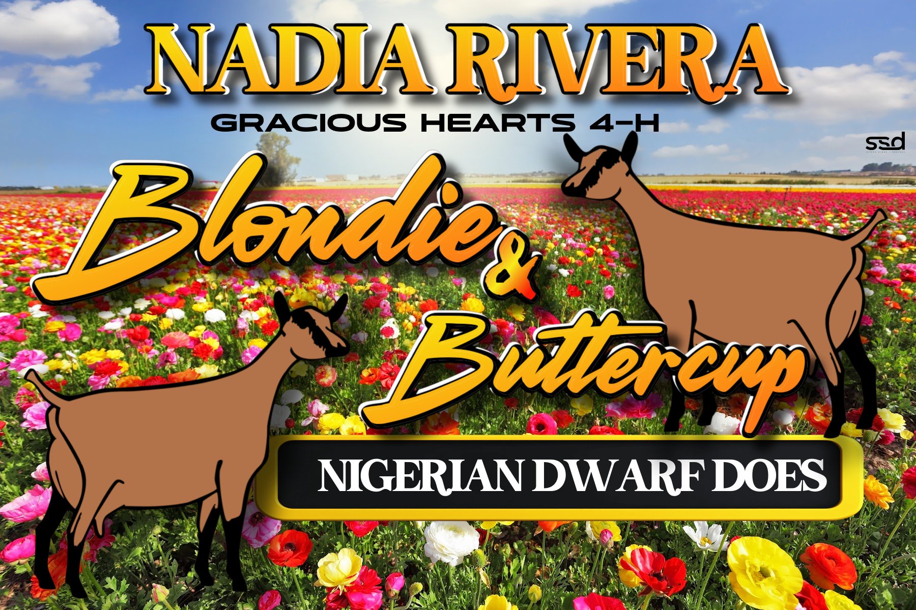 12x18-Corro-Grommets-Nadia Rivera-Blondie Rivera copy.jpg
