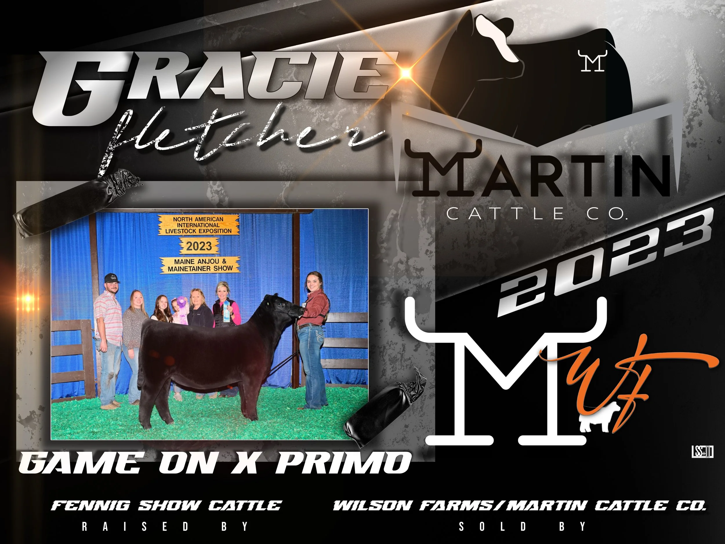 4x3-VINYL GROMENTS-BROUGHTON MARTIN CATTLE- GRACIE FLETCHER HEIFER.jpg