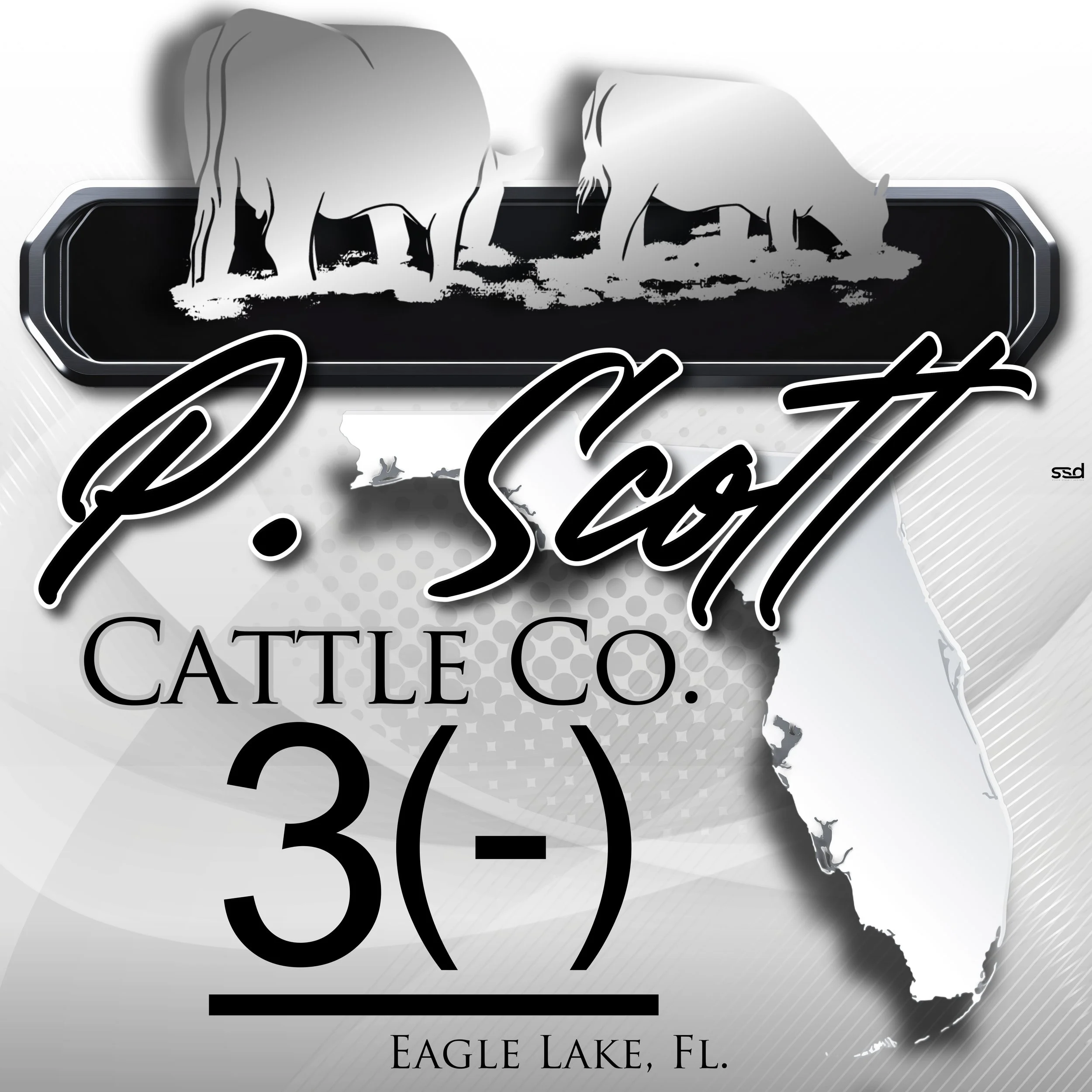 24x24-DOUBLE SIDED MAXMETAL-P SCOTT CATTLE CO copy.jpg
