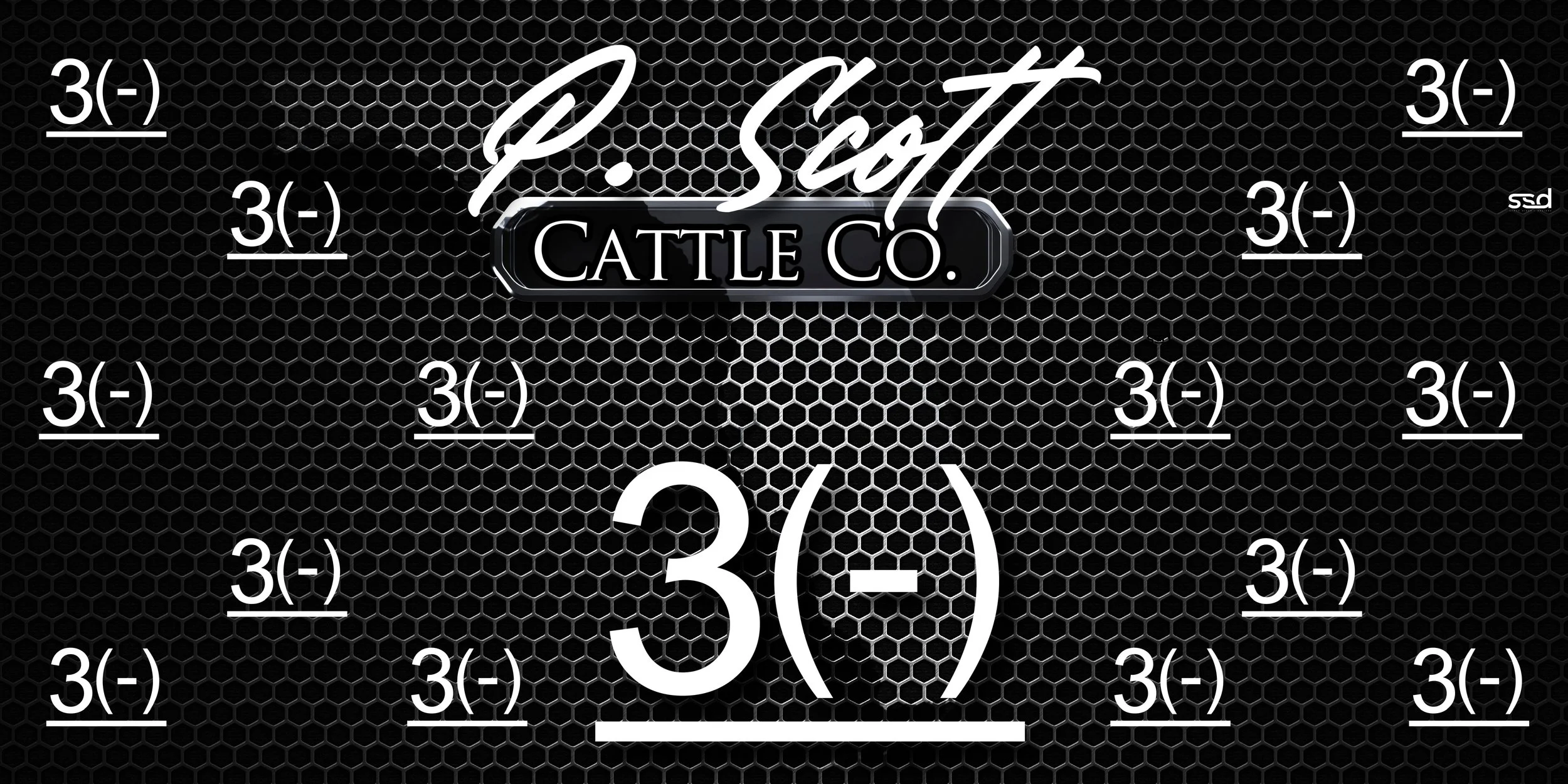 QTY OF 2-8X4-STALL TARP-P SCOTT CATTLE CO  (2).jpg
