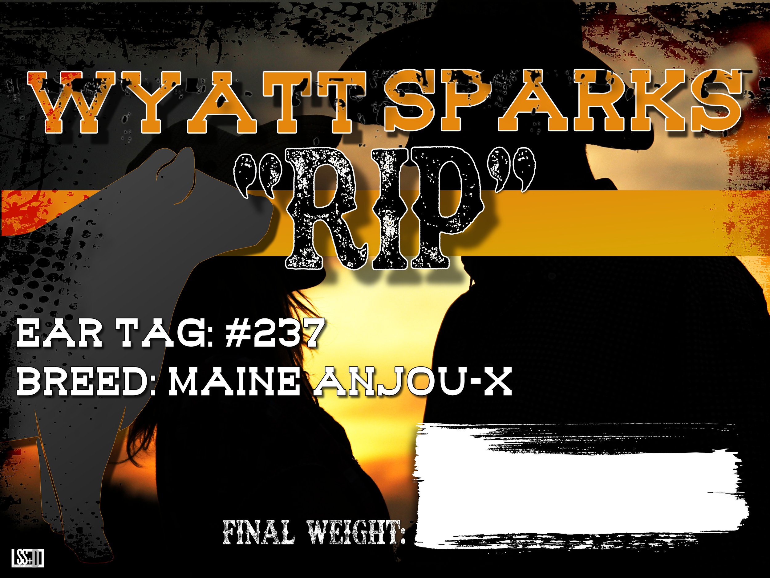 24x18_CURRO WITH GROMENTS_WYATT SPARKS_RIP copy.jpg