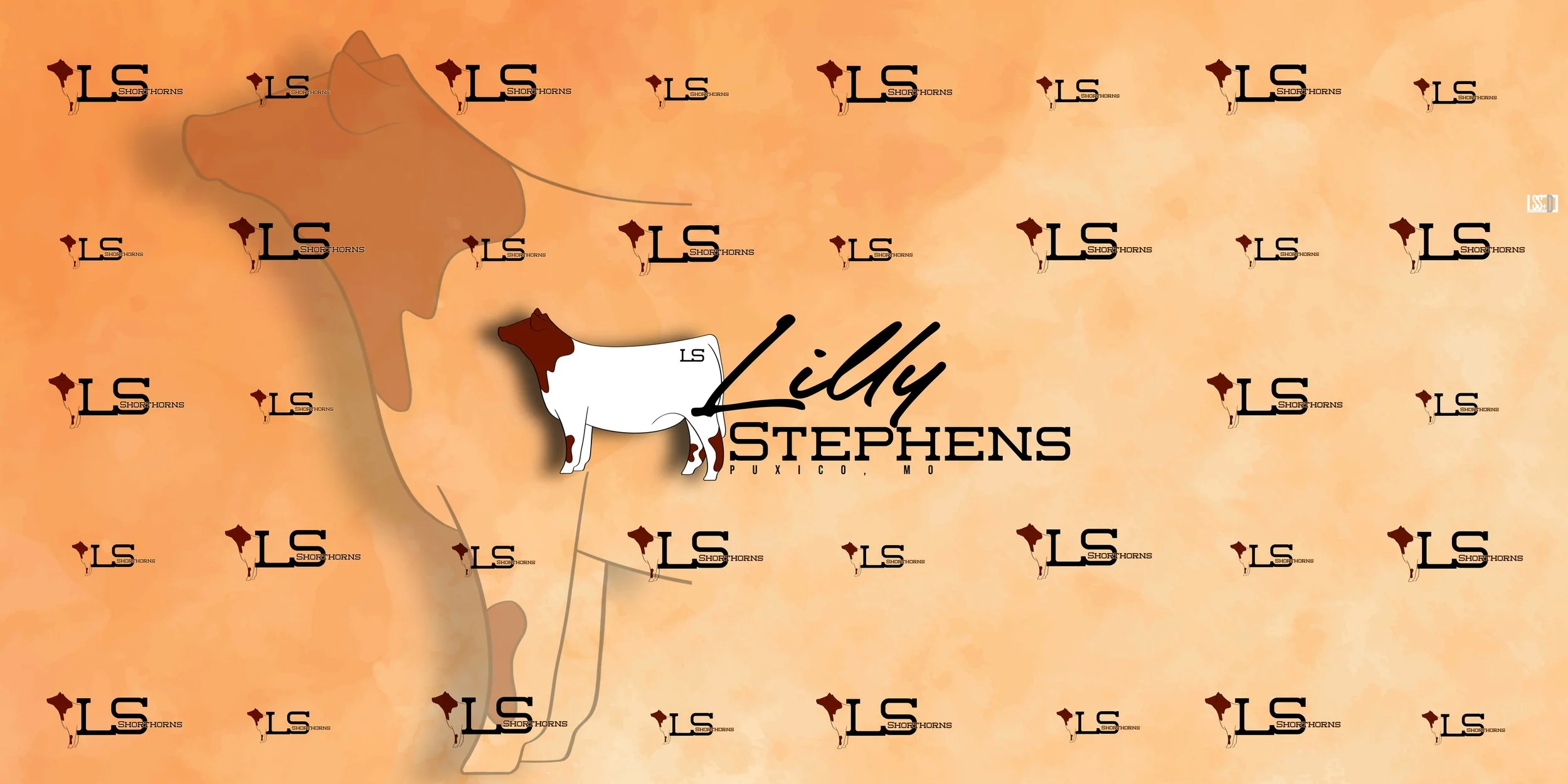 8x4-STALL TARP-LILLY STEPHENS copy 4.jpg