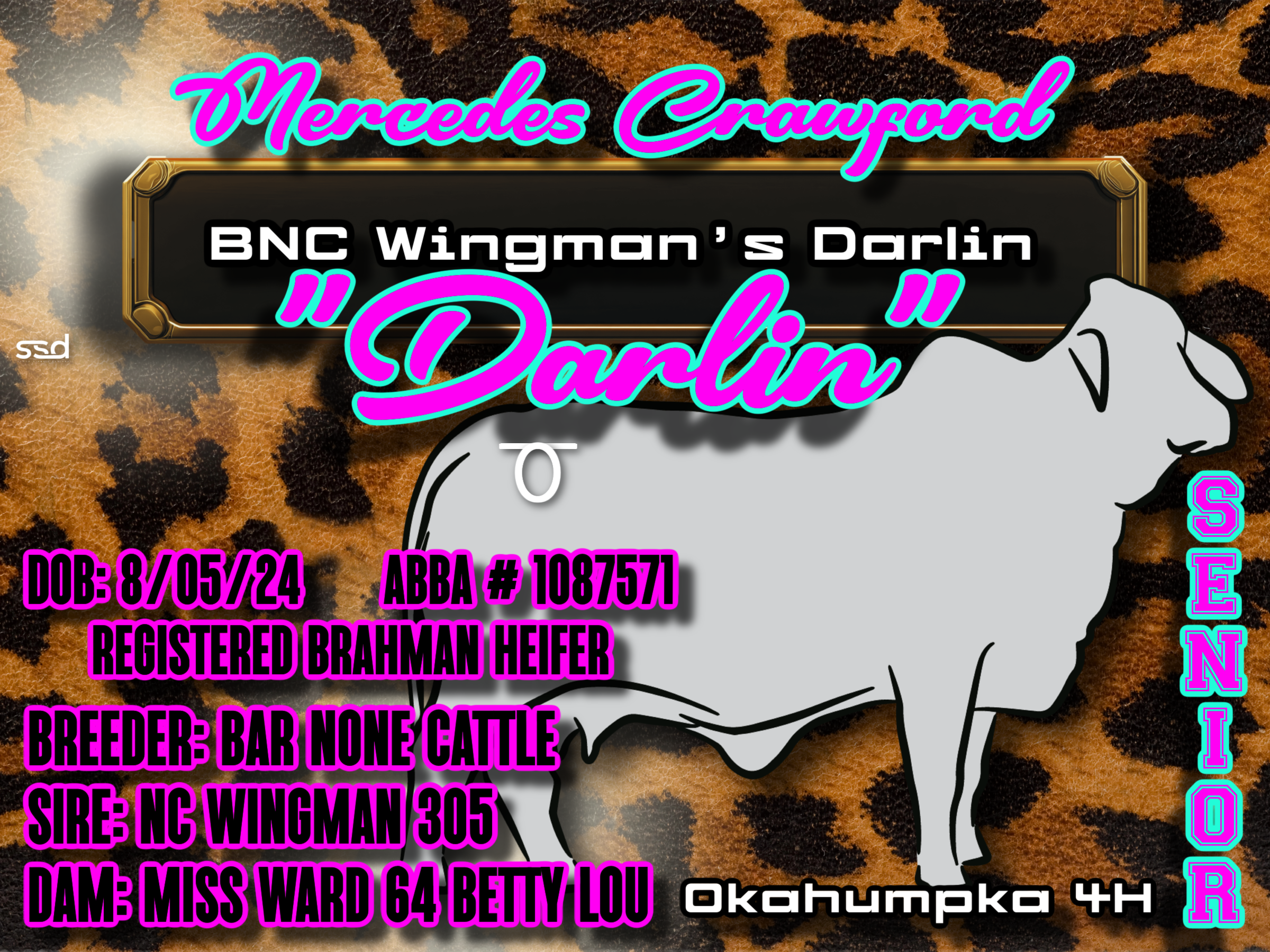 18x24-CORRO-GROMMETS-MERCEDES CRAWFORD-DARLIN.png