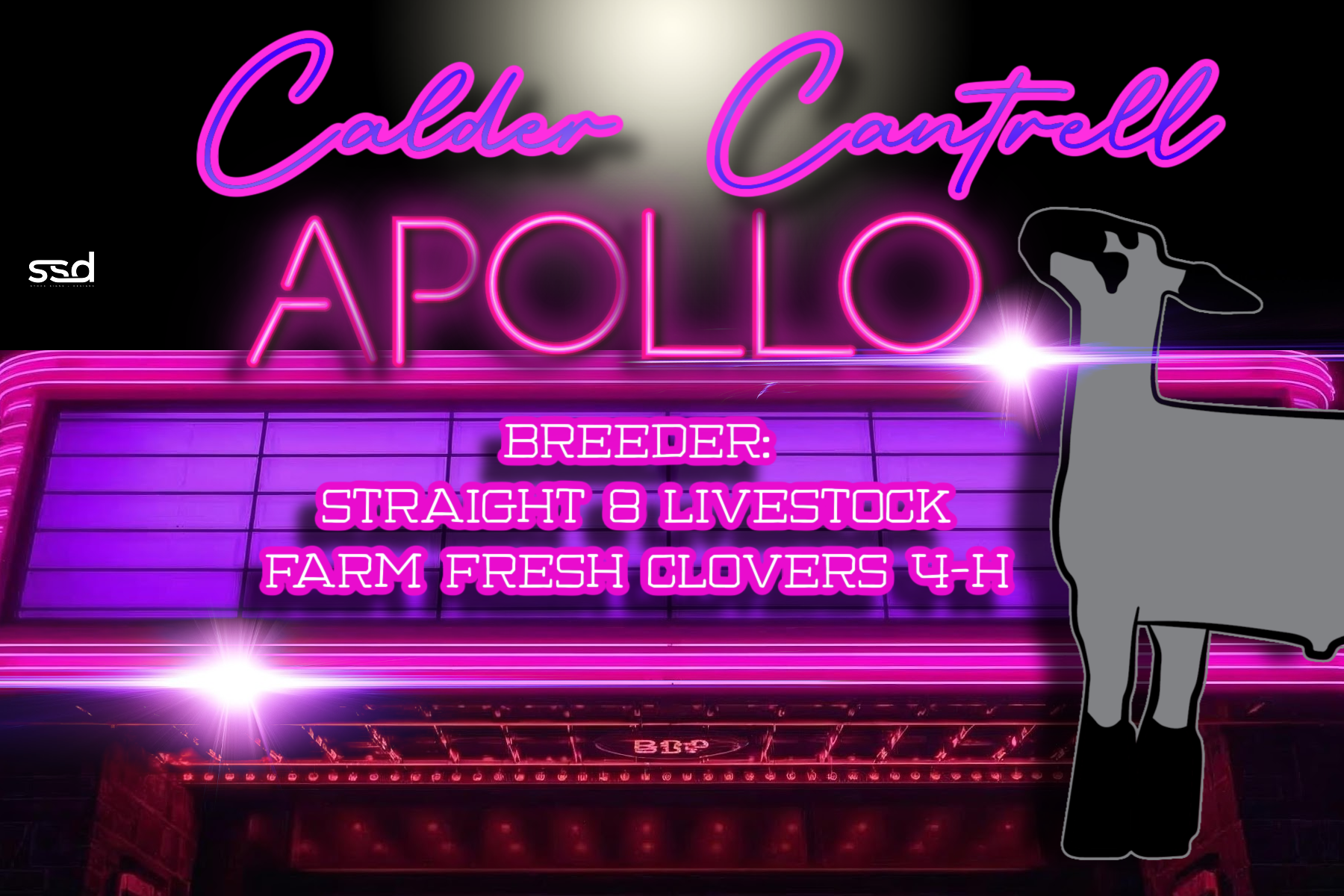 12x18-DOUBLE SIDED CURRO-GROMENTS-APOLLO.png