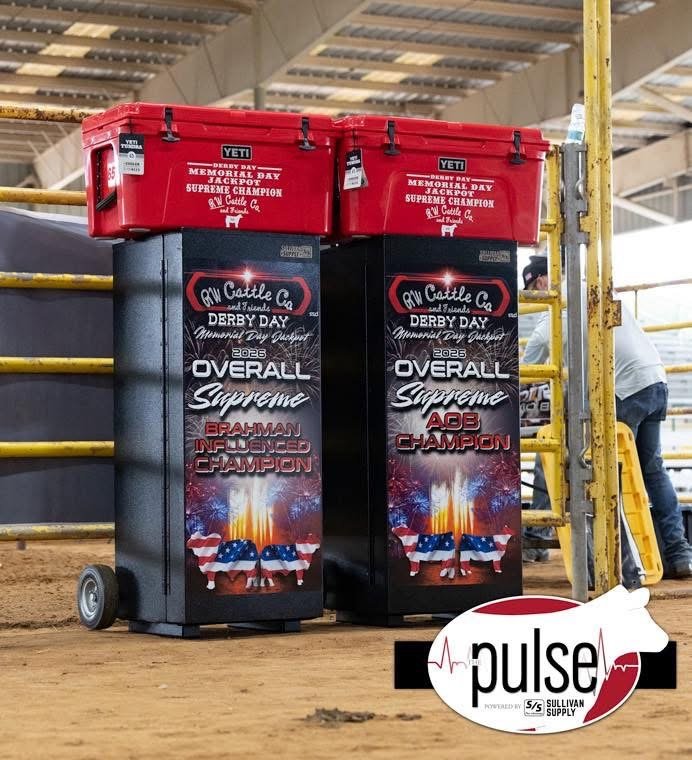 stock show awards decals showbox