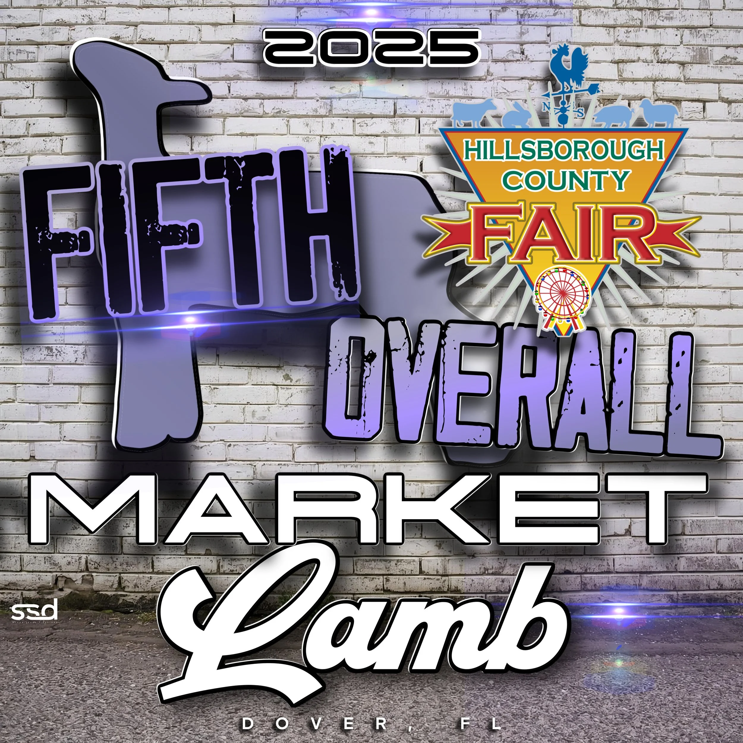 14X14-DOWEL POCKET-HILLSBOROUGH COUNTY FAIR MARKET LAMB - copy.jpg