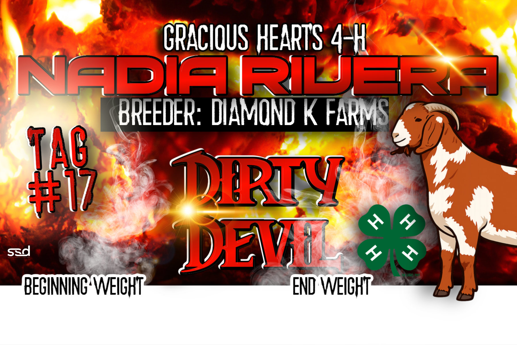 12x18-VINYL STALL BANNER-NADIA RIVERA-DIRTY DEVIL.png