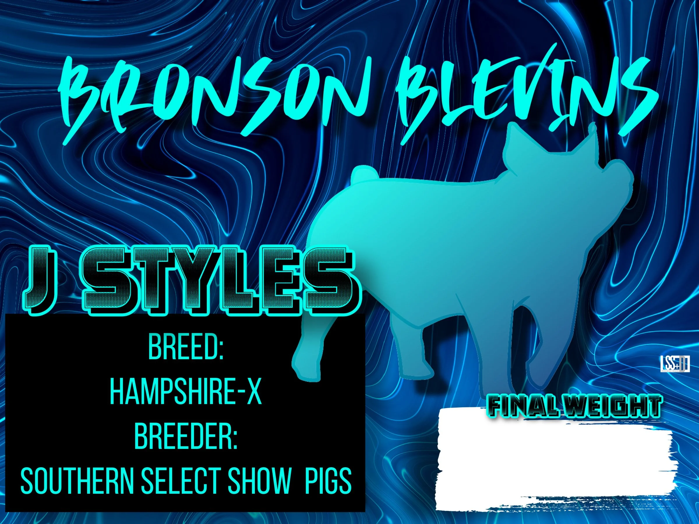 24x18_BRONSON BLEVINS_JSTYLES.jpg