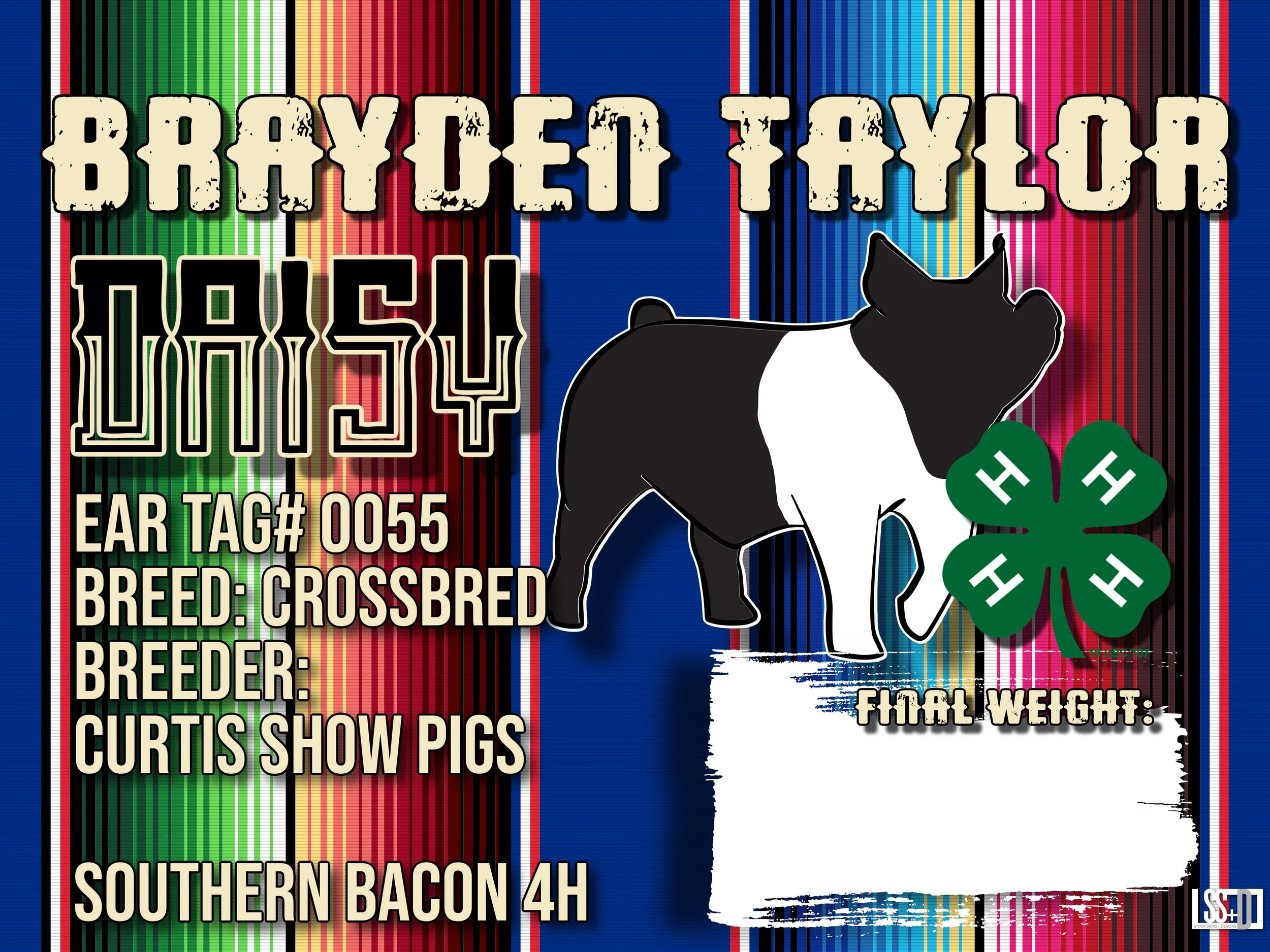 24X18_CURRO WITH GROMENTS_BRAYDEN TAYLOR_DAISY (2).jpg