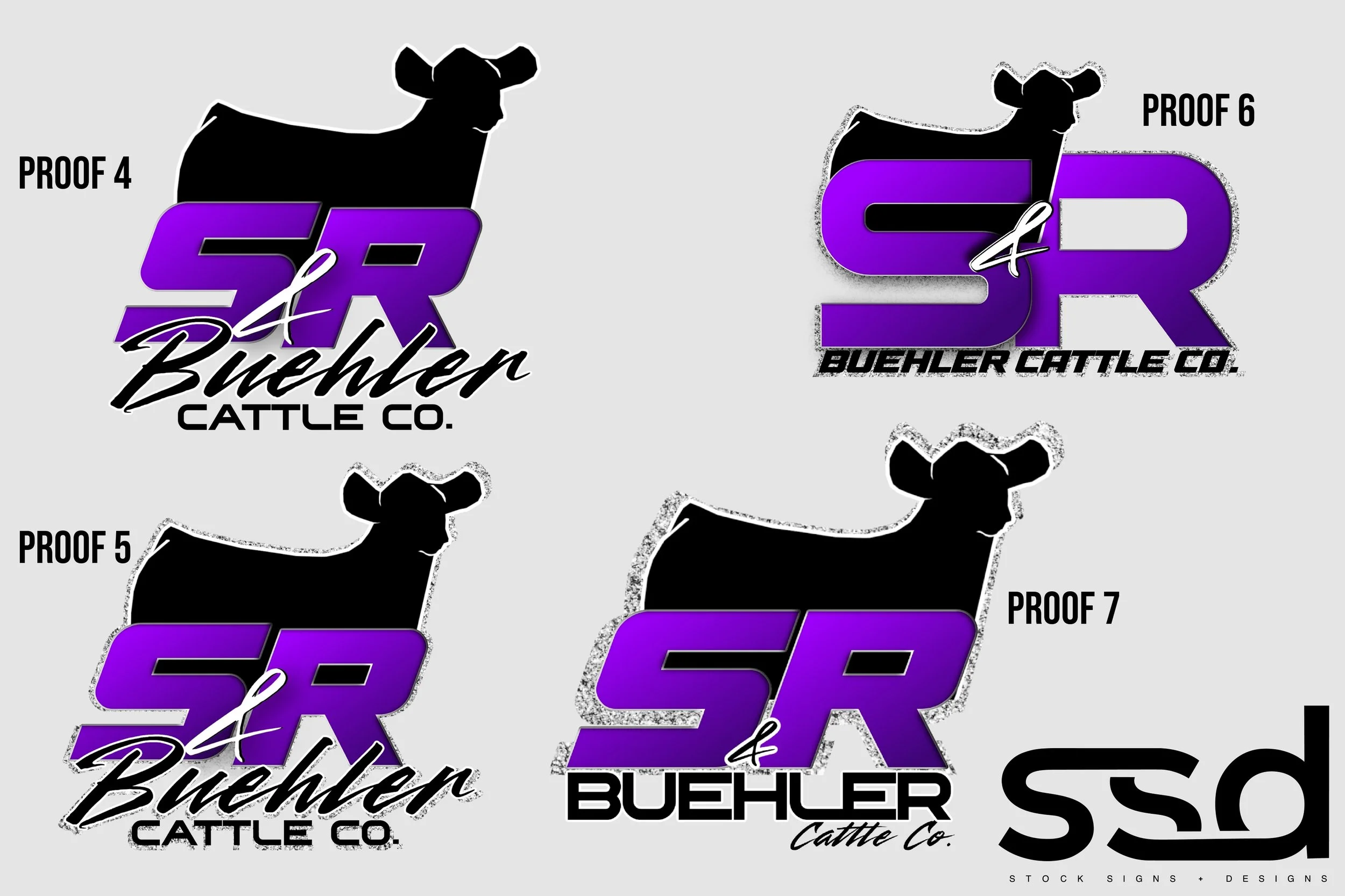 S&R BUEHLER CATTLE CO-LOGO MOCKUPS-5551 -PROOFS 4-7 .jpg