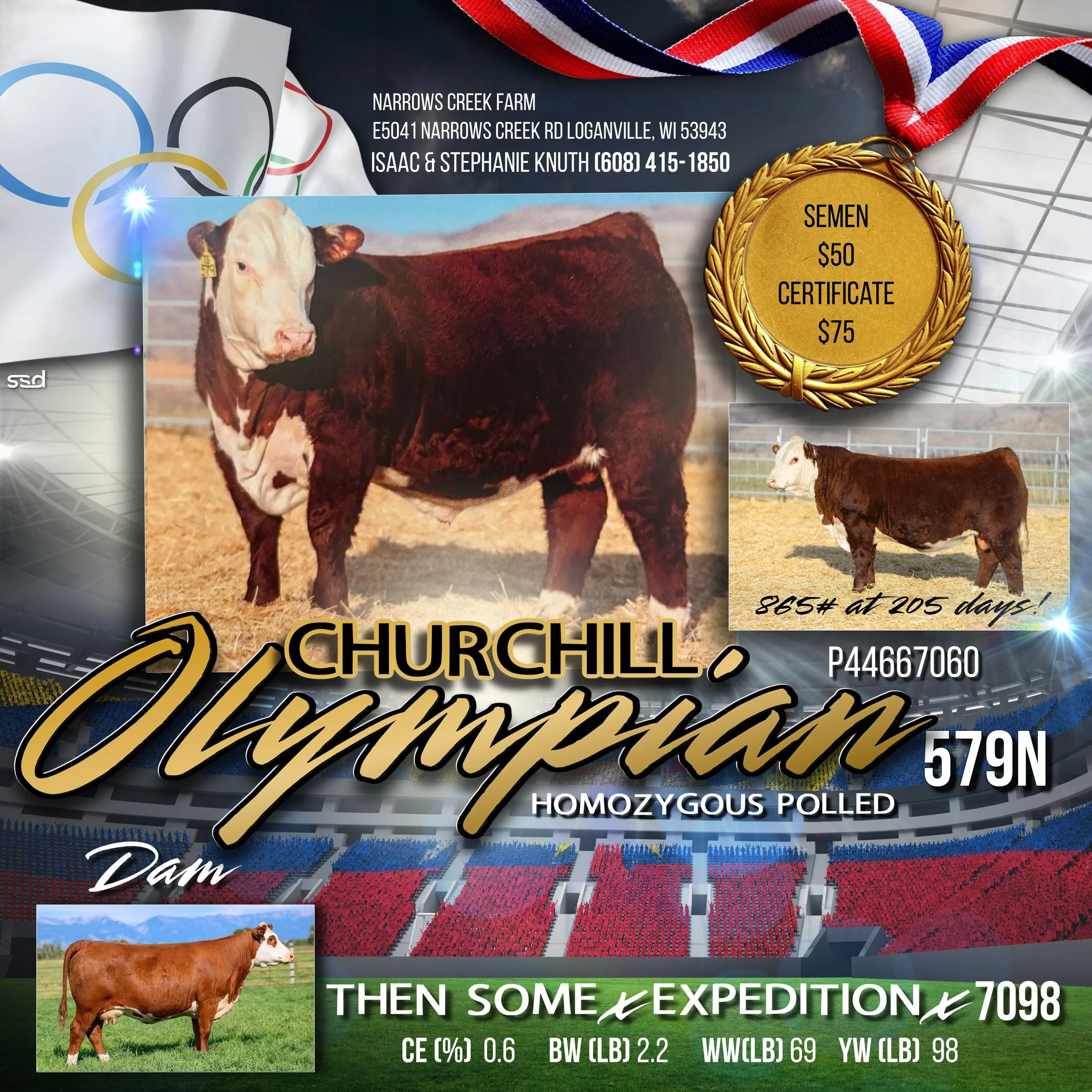 CHURCHILL OLYMPIAN BULL BANNER-1 copy (1).jpg
