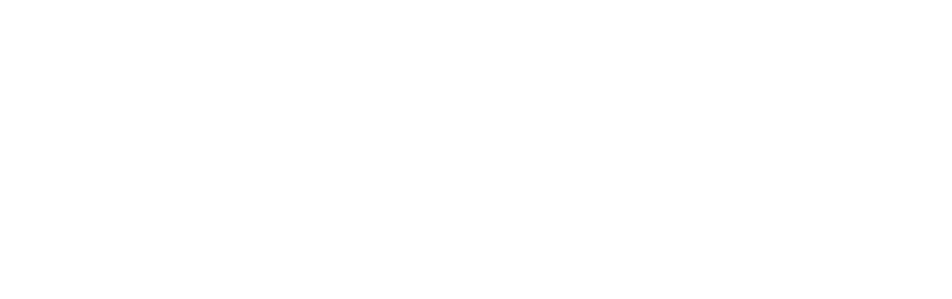 Foresight Solutions Group (Copy) (Copy)
