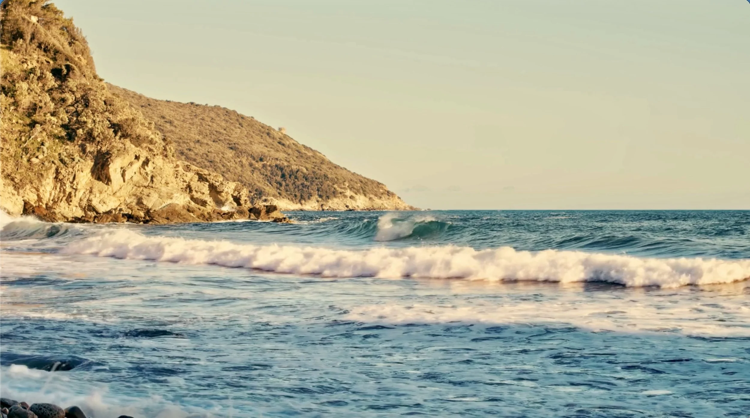 wavestill.jpeg