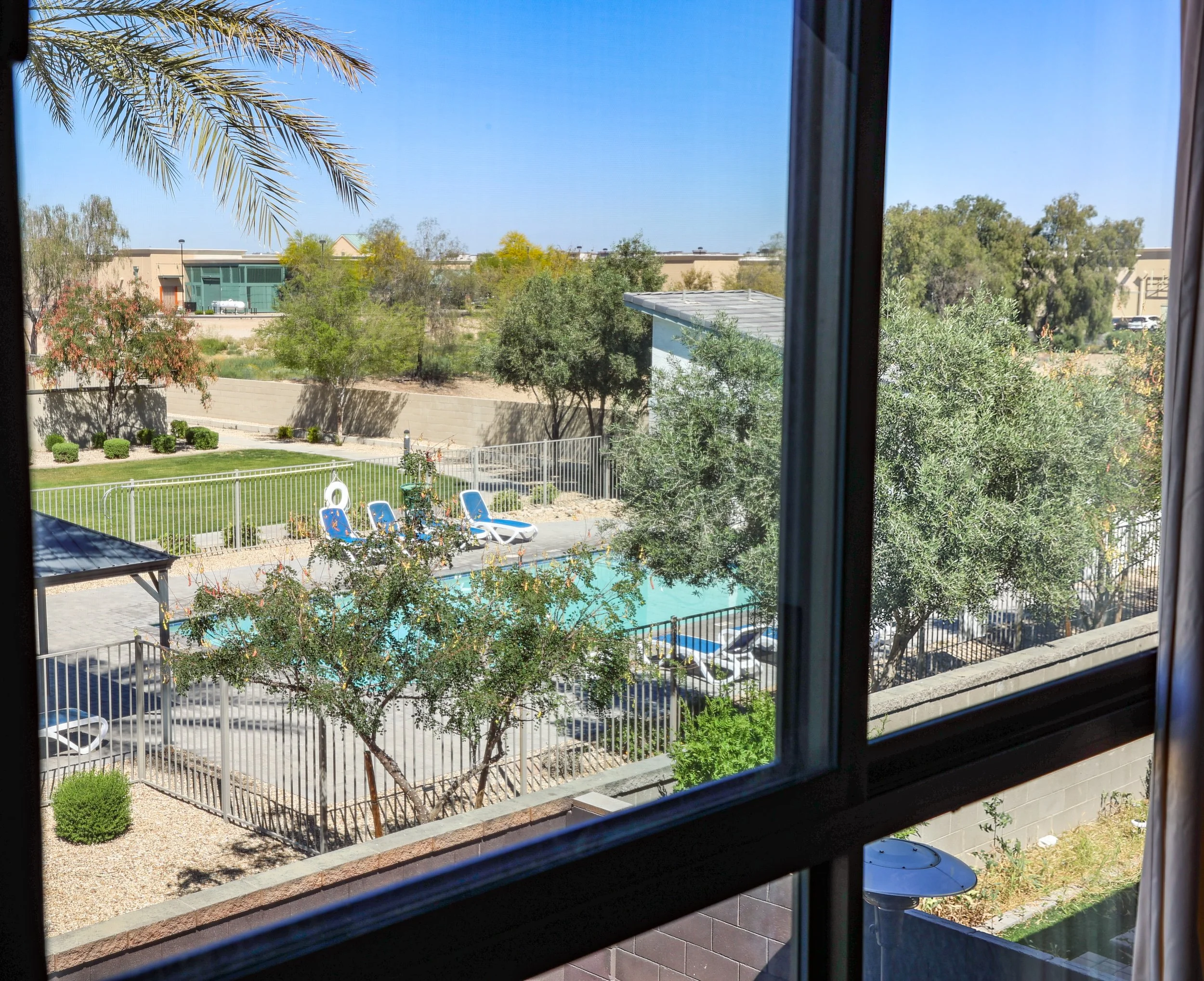 View of a backyard seen through a window. There are lounge chairs, trees, a pool, a grass lawn, fences, and neighboring buildings under a clear blue sky.