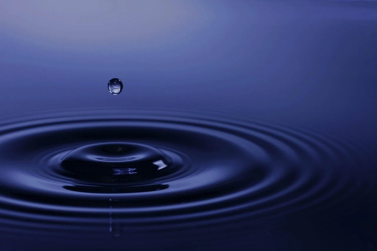 Close-up of a water droplet falling into a dark water surface, creating concentric ripples.