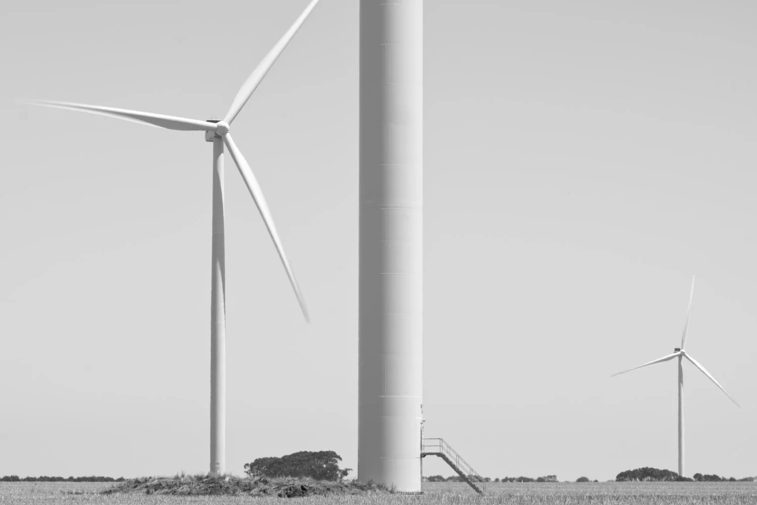 windmill.jpg