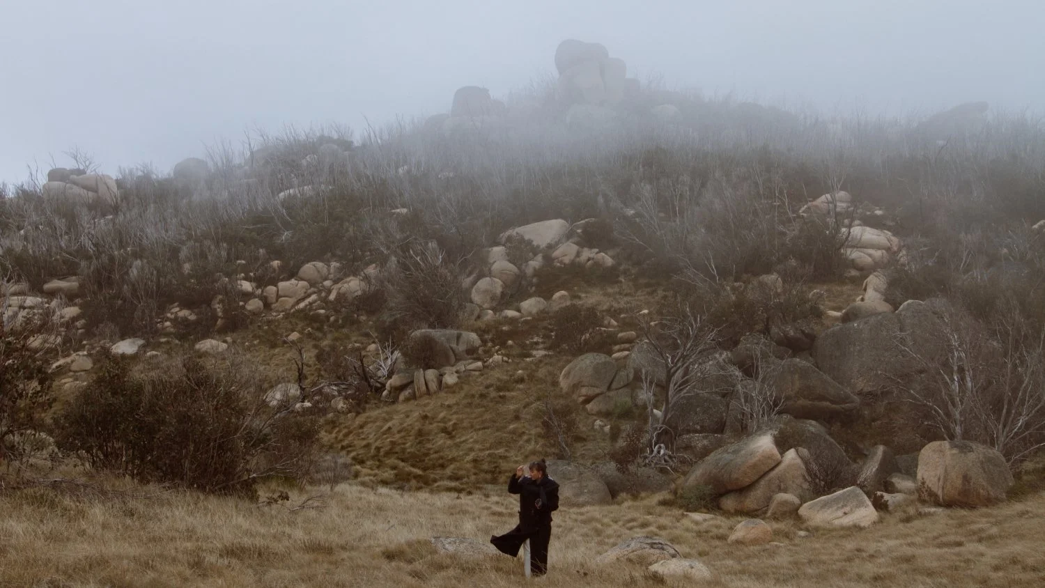 mountaintop.jpg