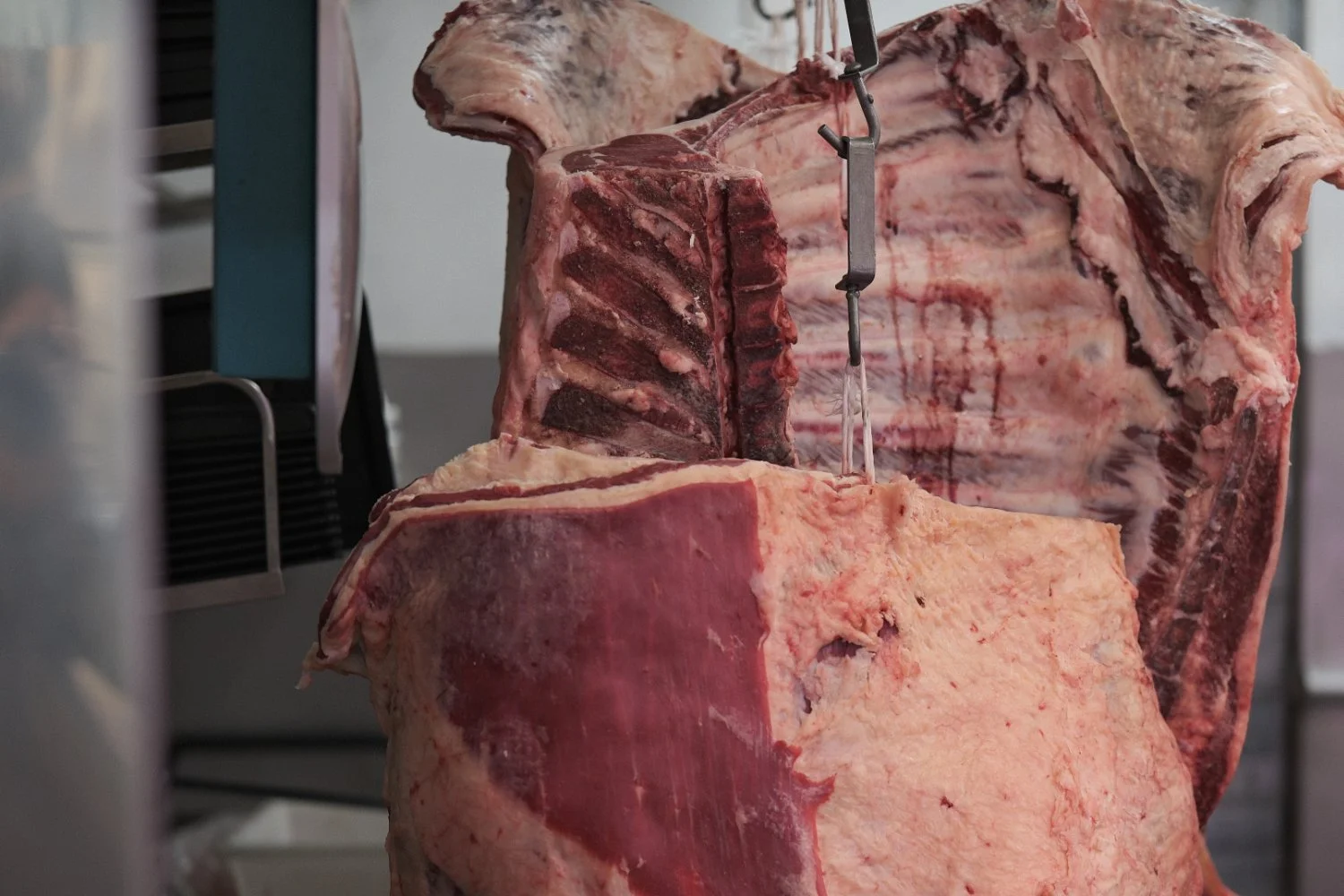 meat.jpg