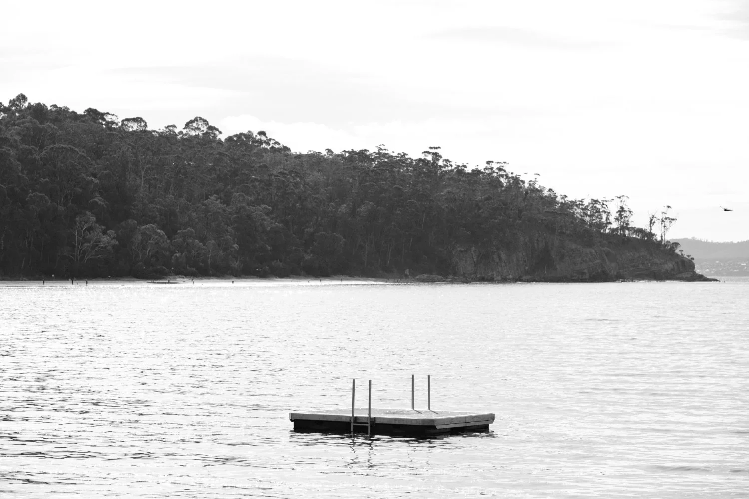 pontoon.jpg