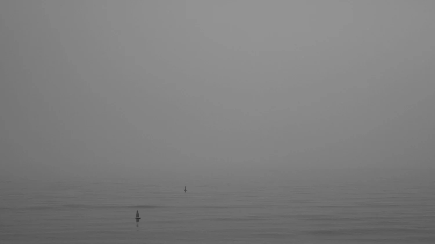beachfog.jpg