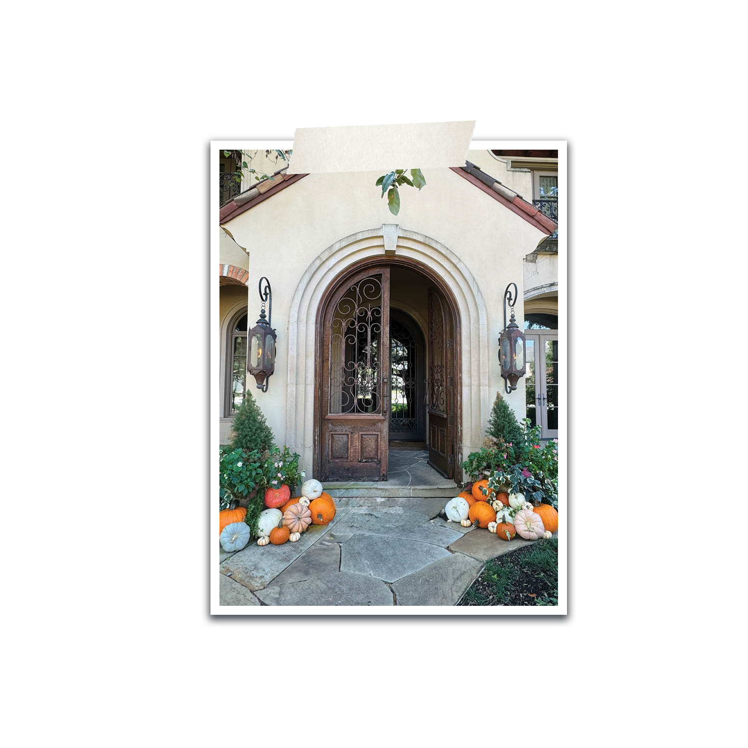 Pumpkin_4a.png
