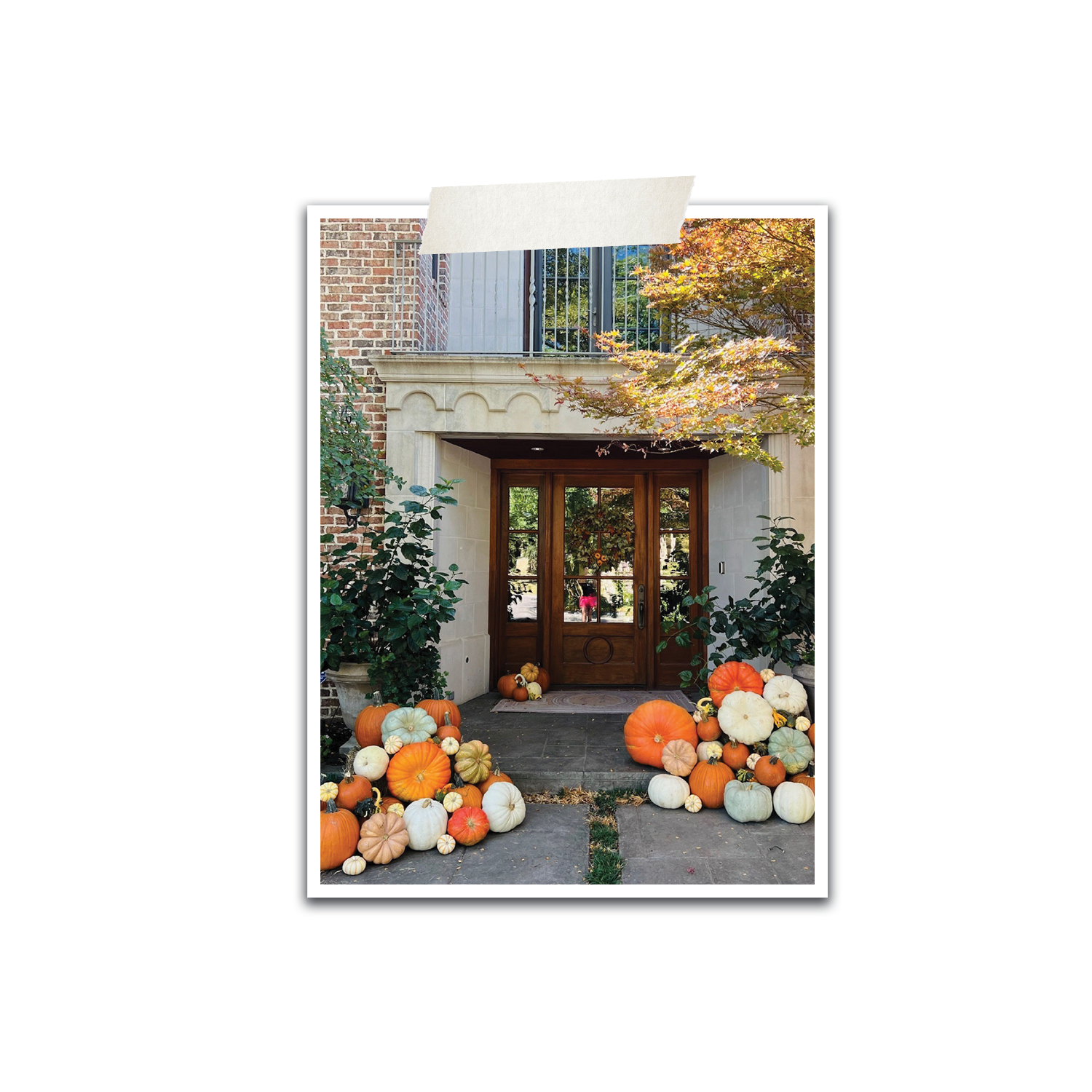 Pumpkin_1b.png