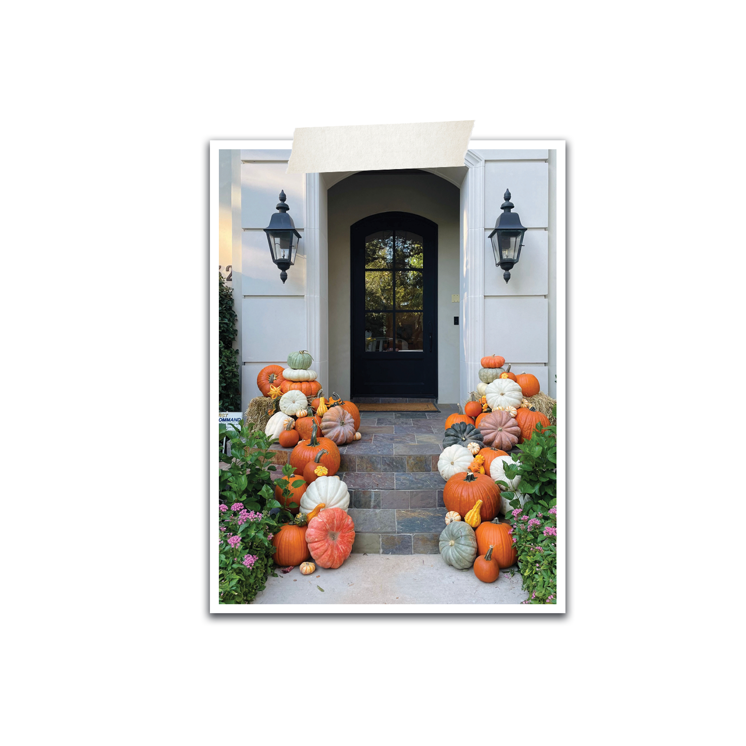 Pumpkin_2b.png